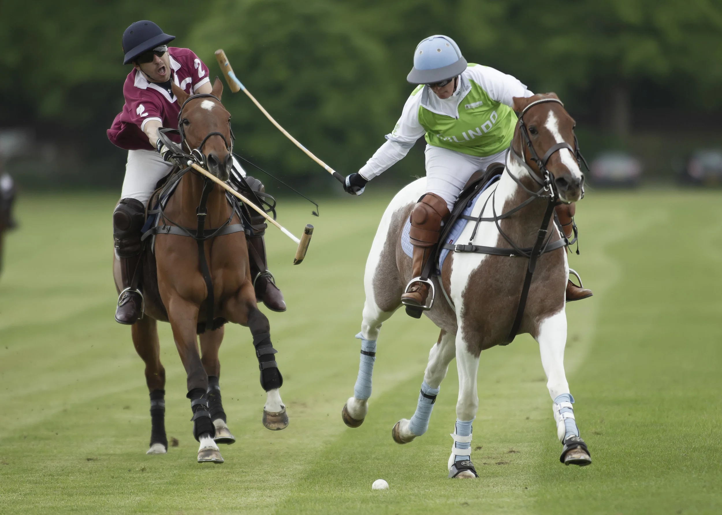 IPS-MG_Ham-Polo_05052019066.JPG