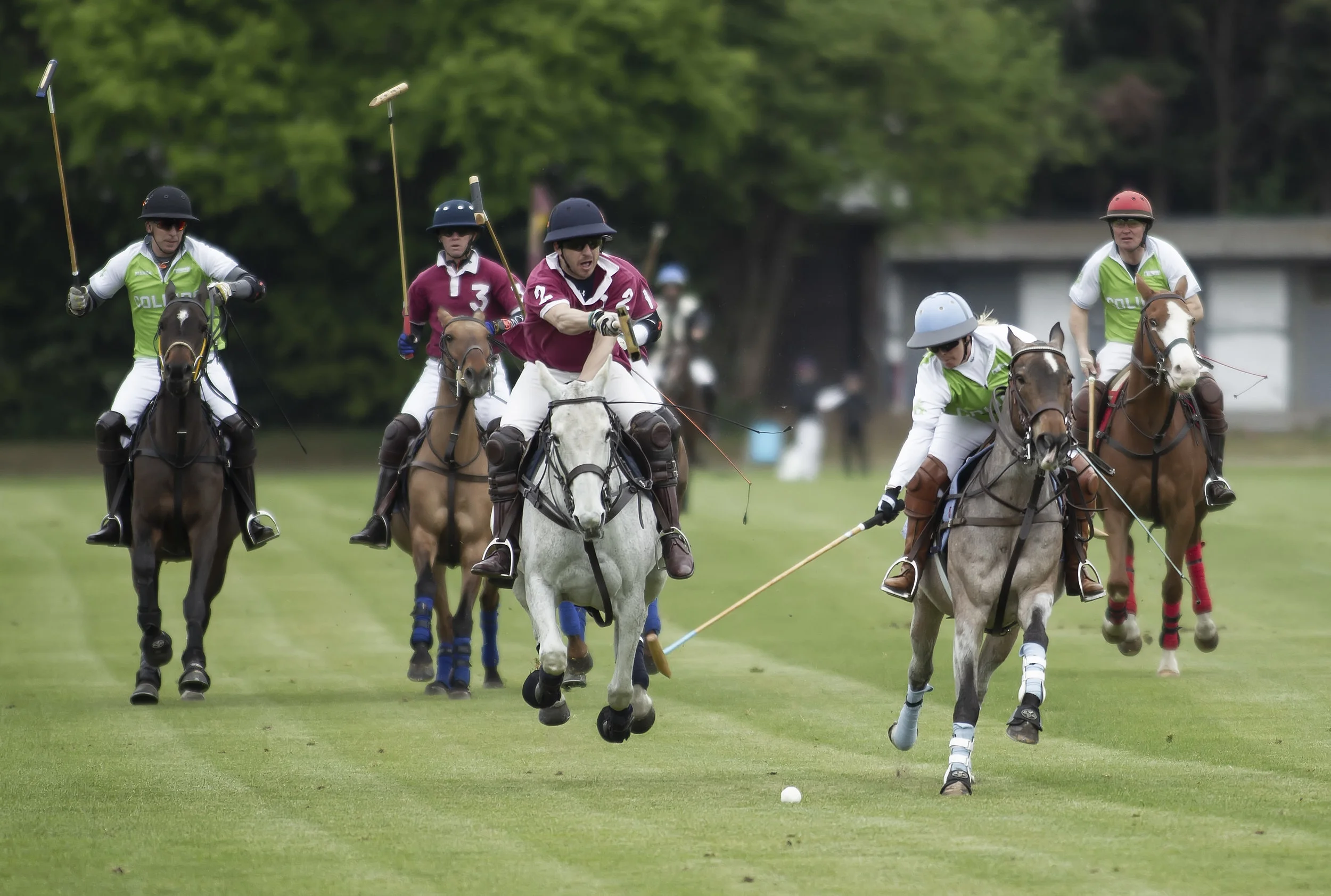 IPS-MG_Ham-Polo_05052019054.JPG