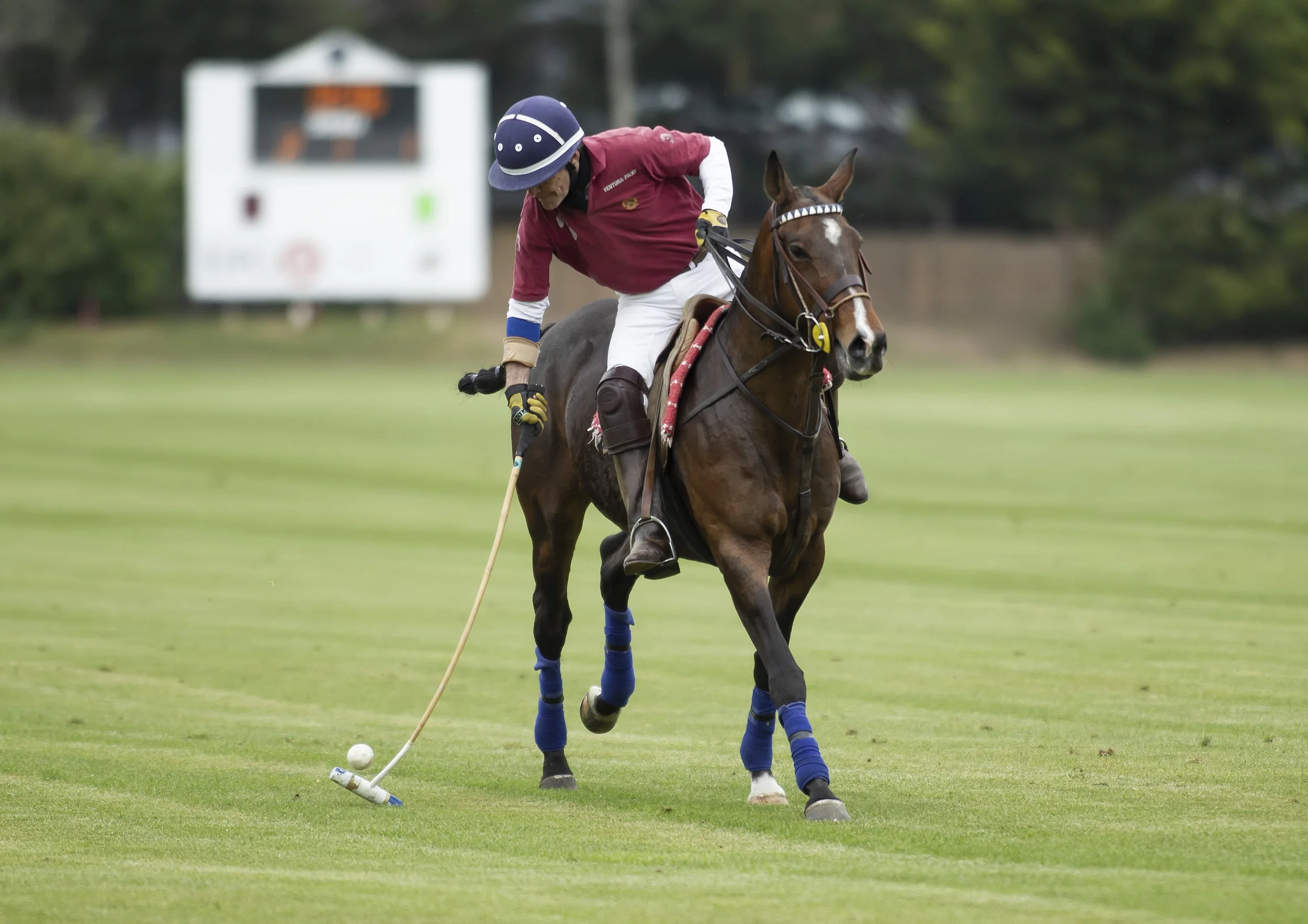 IPS-MG_Ham-Polo_05052019052.JPG