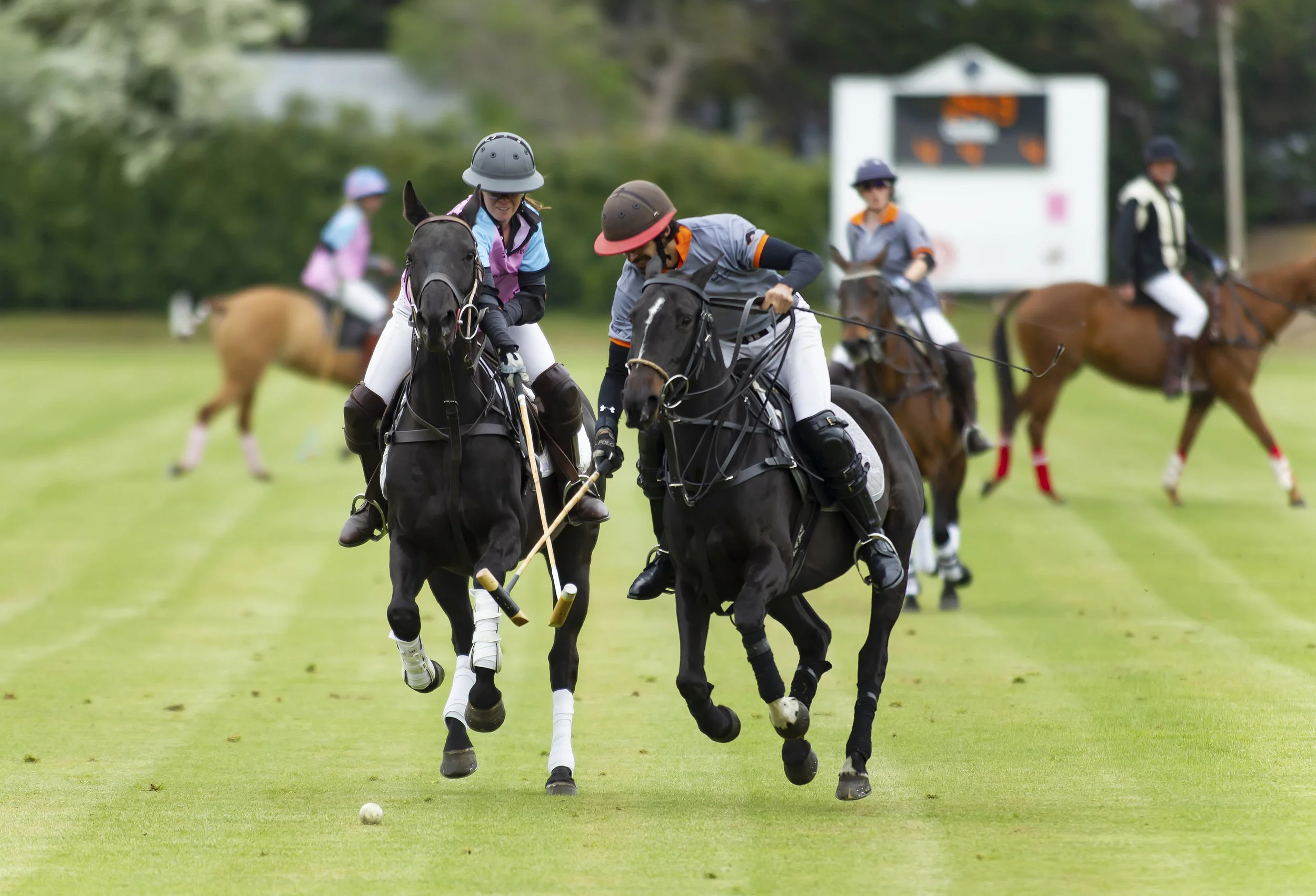 IPS-MG_Ham-Polo_05052019048.JPG