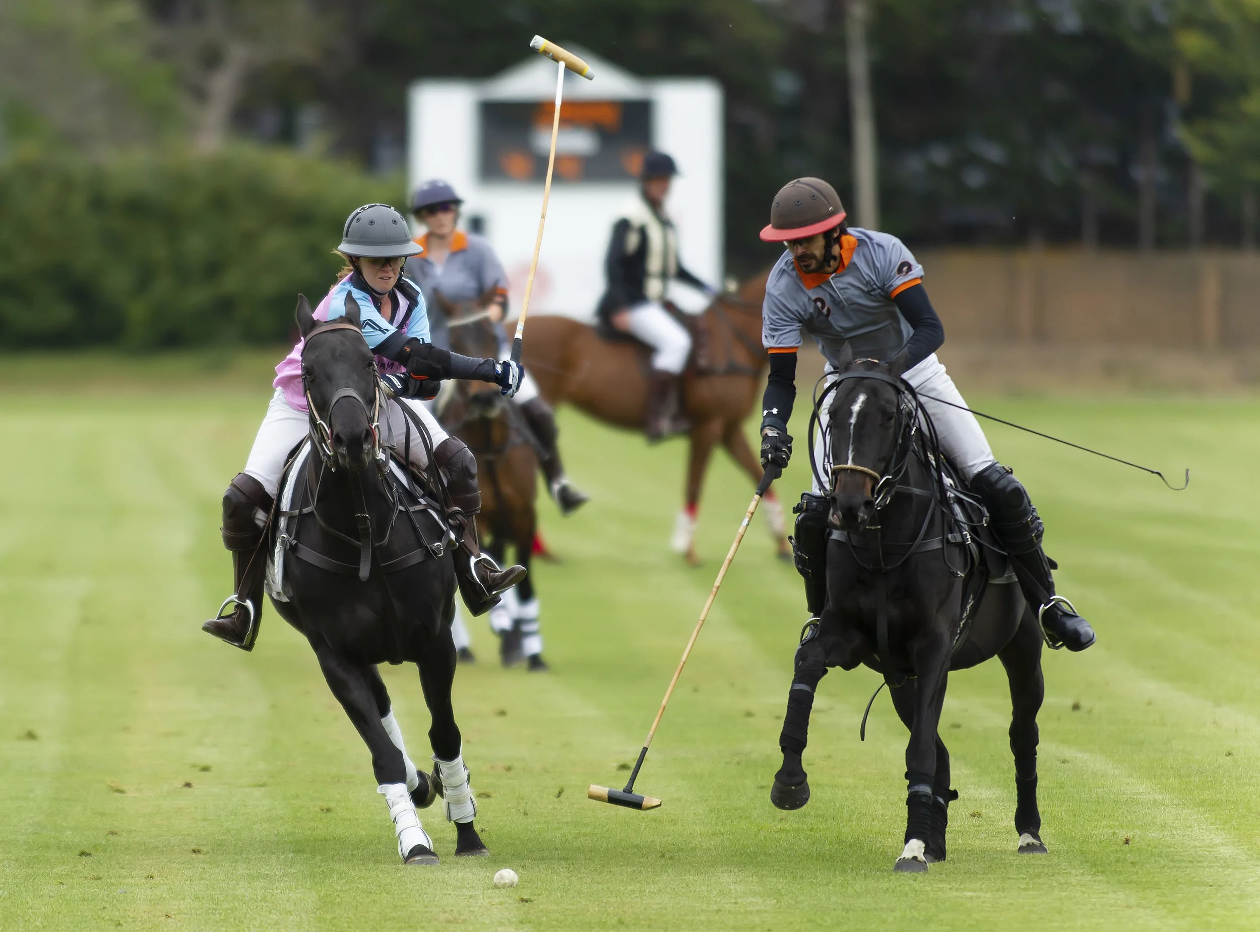 IPS-MG_Ham-Polo_05052019047.JPG