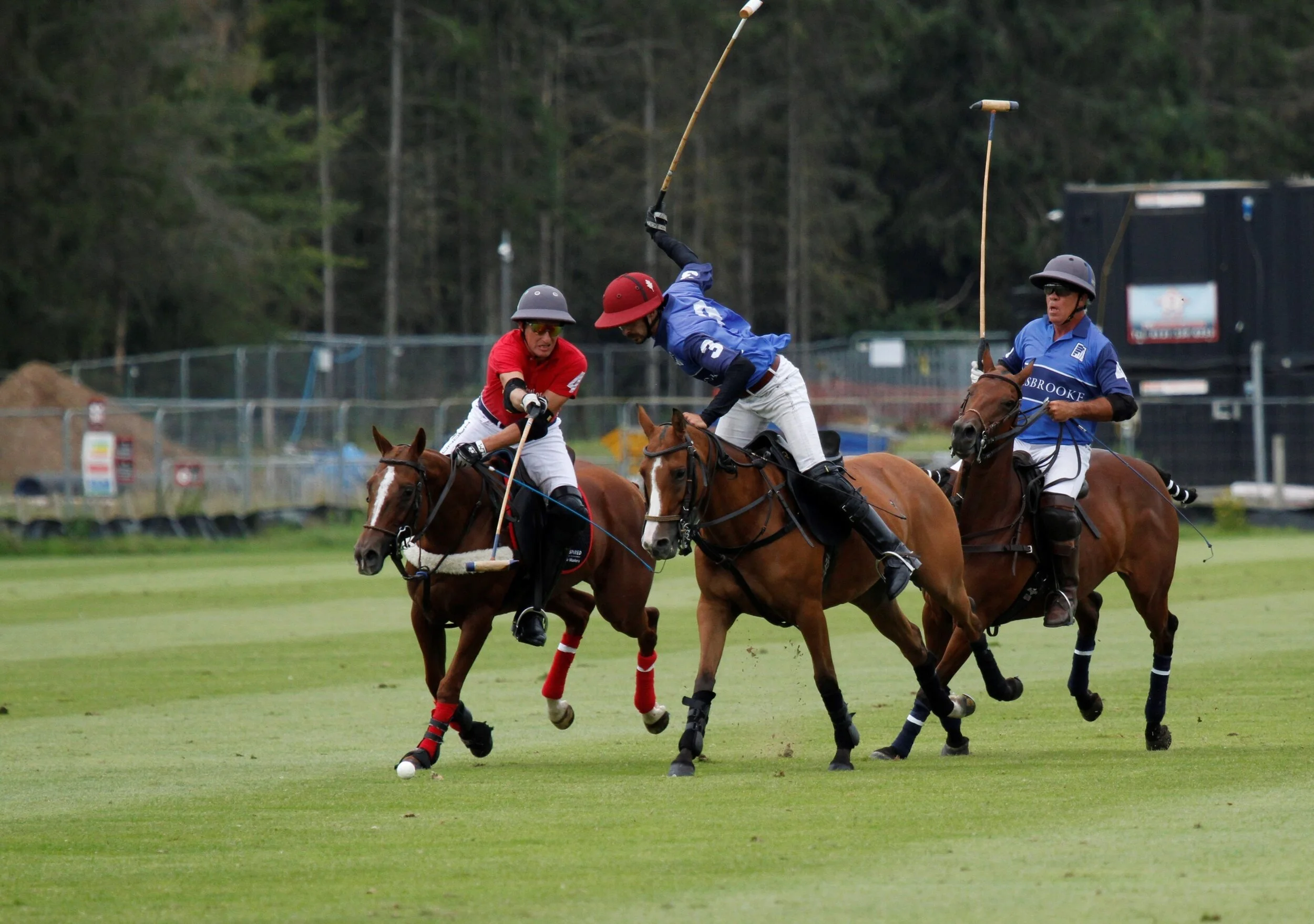 _MG_3395 (3) (1).jpg