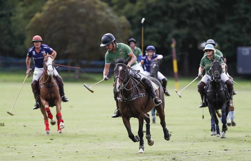 Job Notice: Grooms 2023 