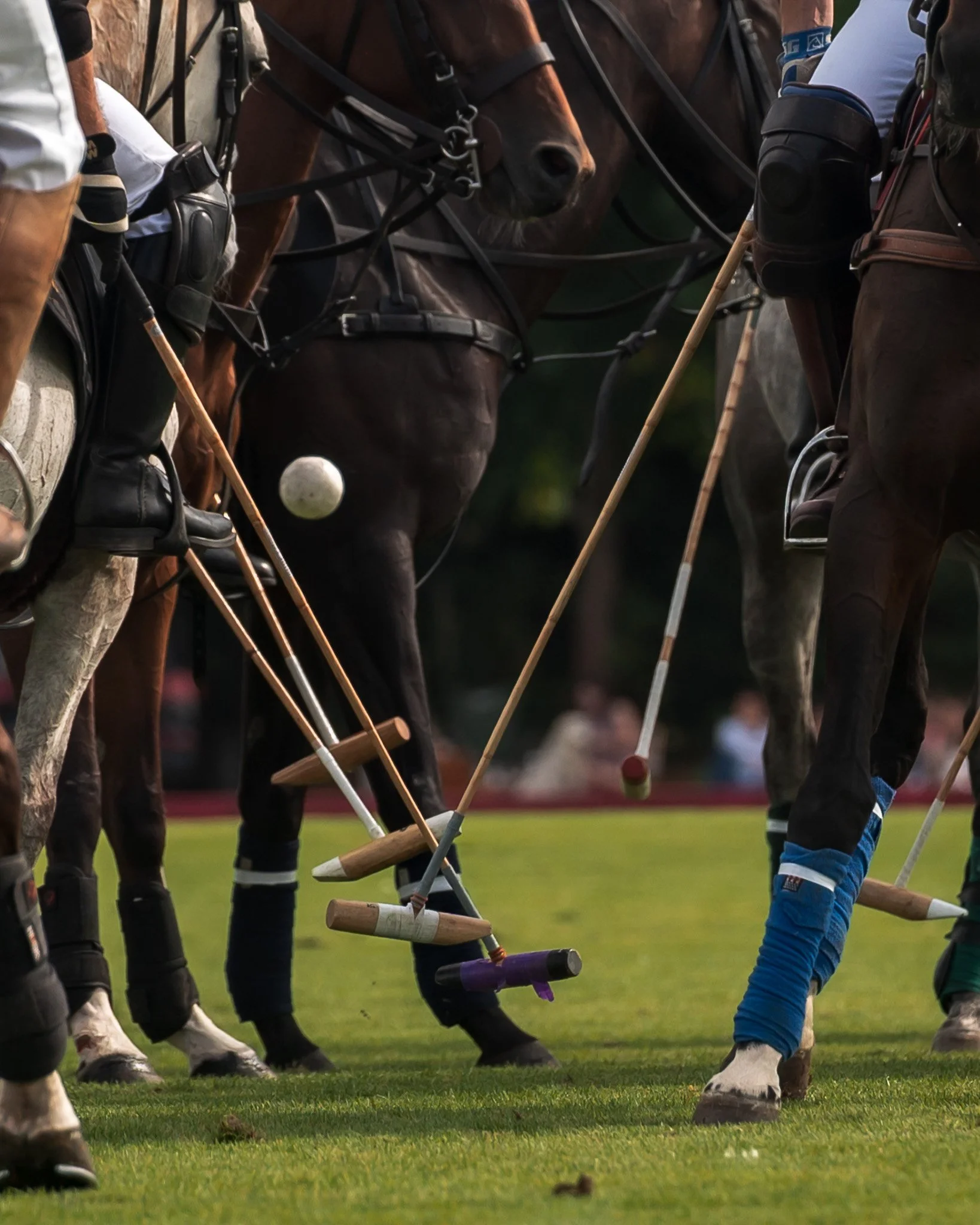 Sunday Polo - Club Matches