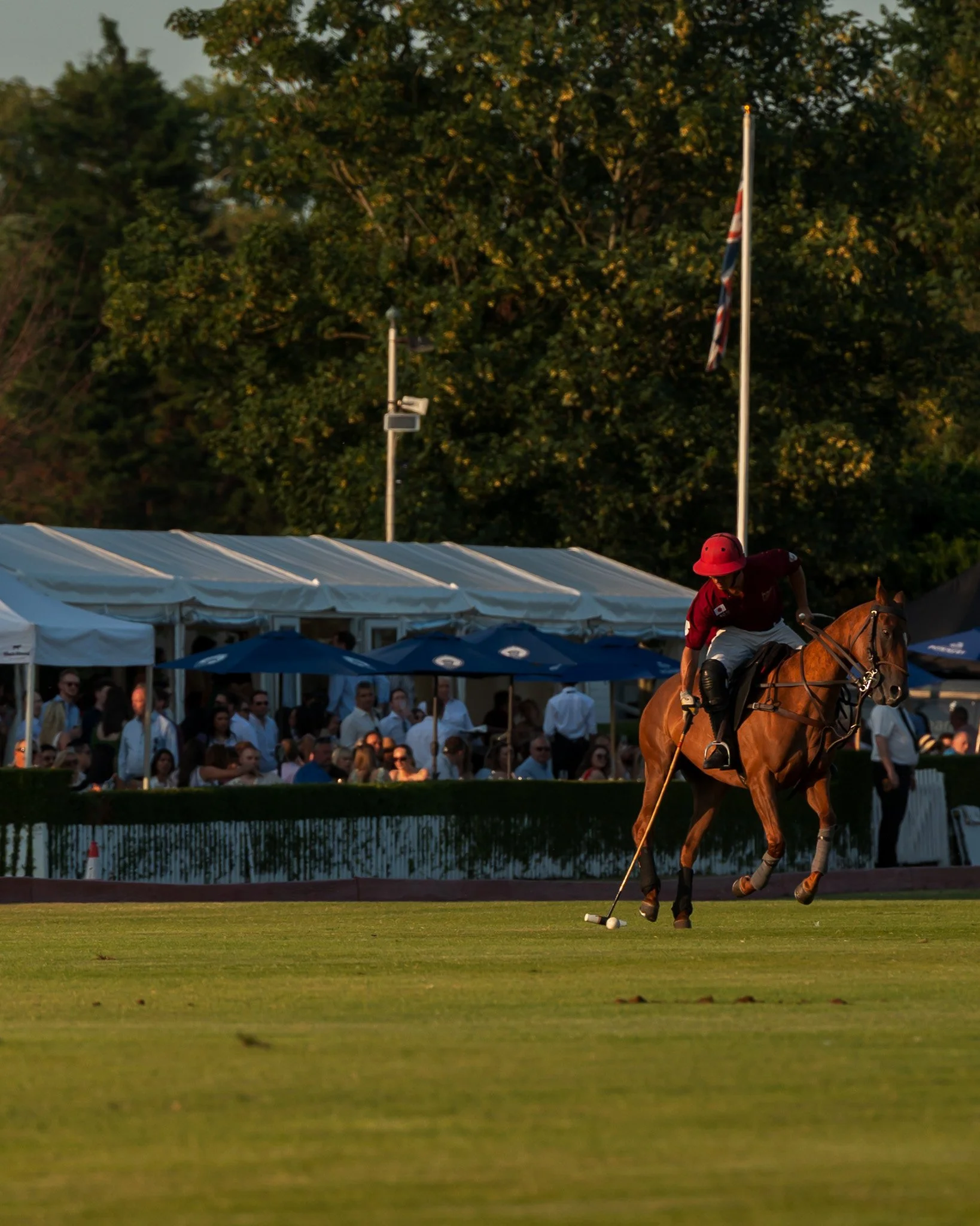 Friday Night Polo and Party