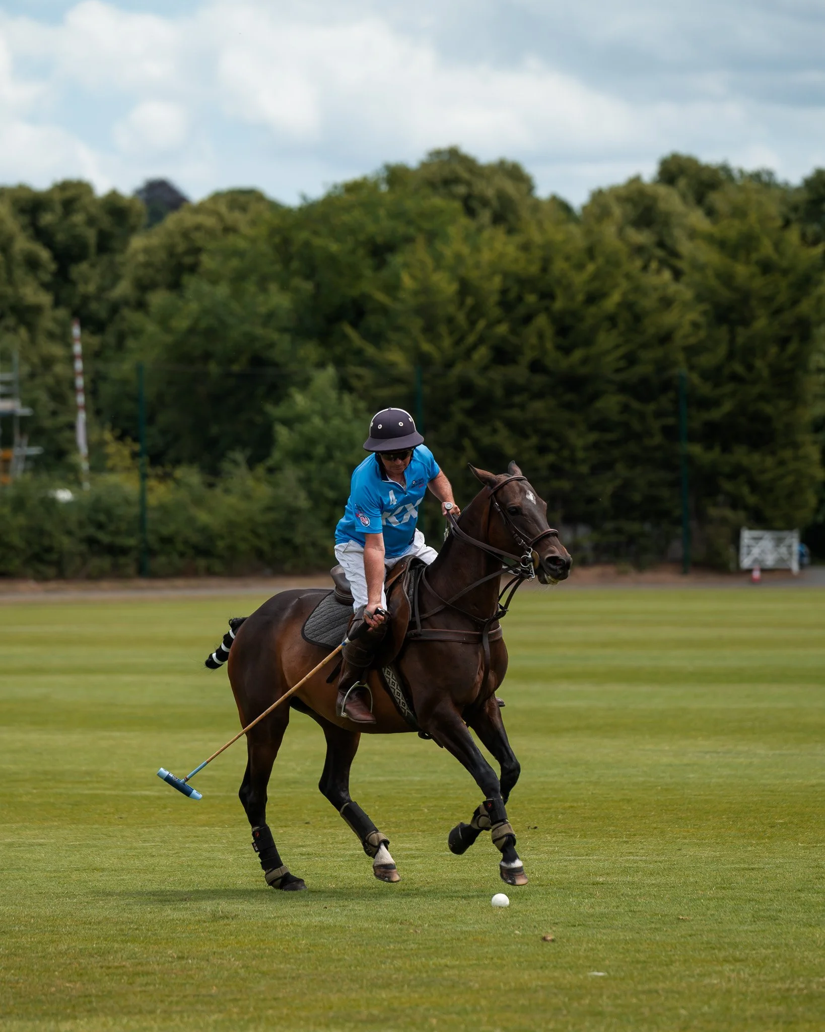 Sunday Polo - RAF v Ham Challenge 