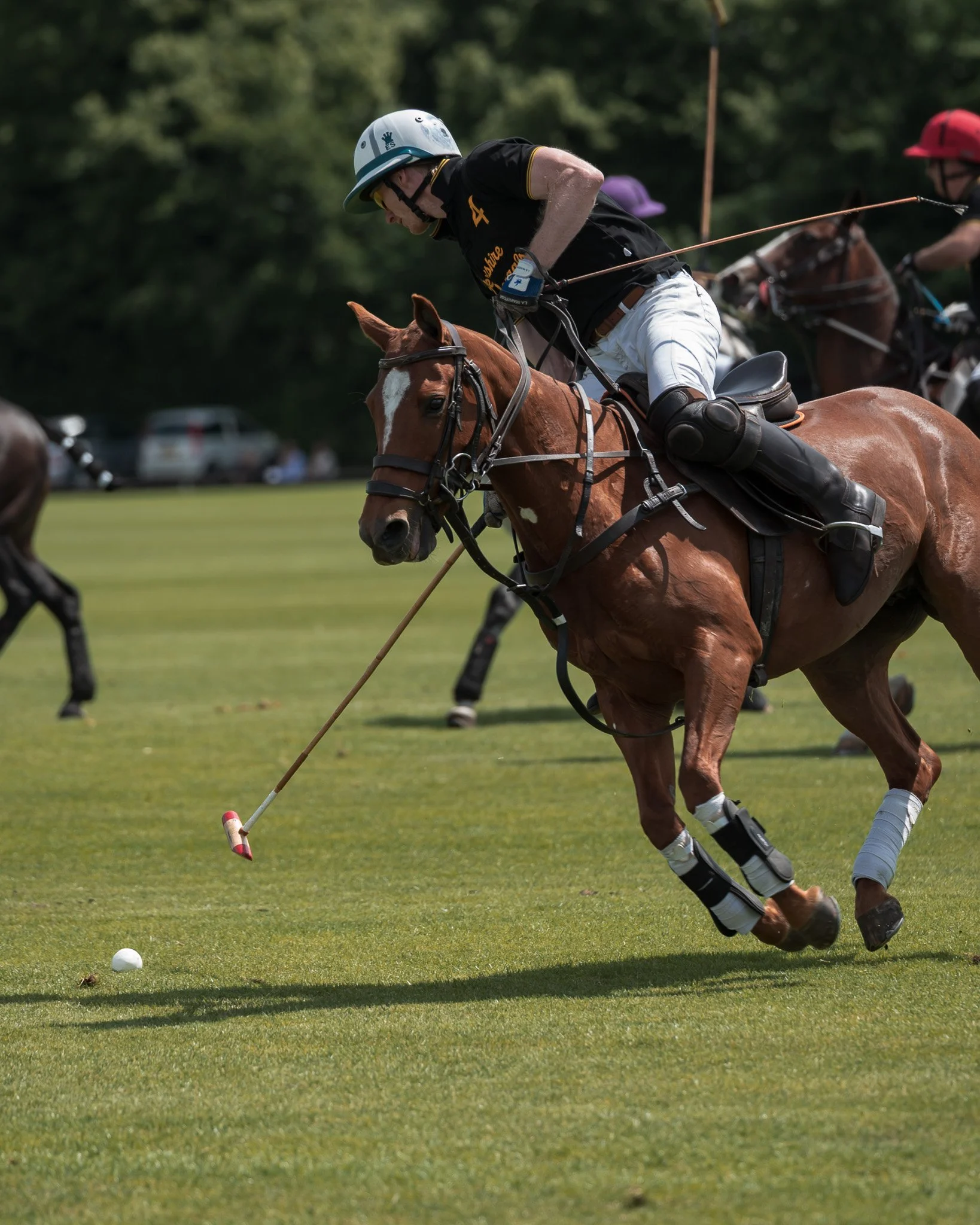 Tournament - Petersham Bowl Finals
