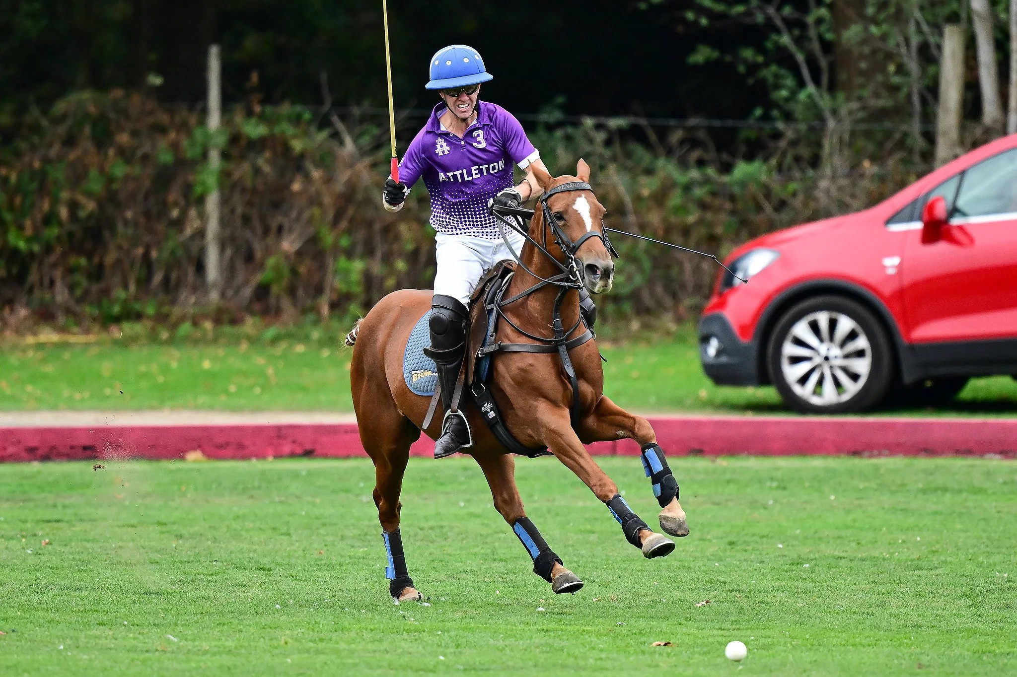 Images from Ham Polo Club, Ham Polo Club, London, UK - 17/05/2026