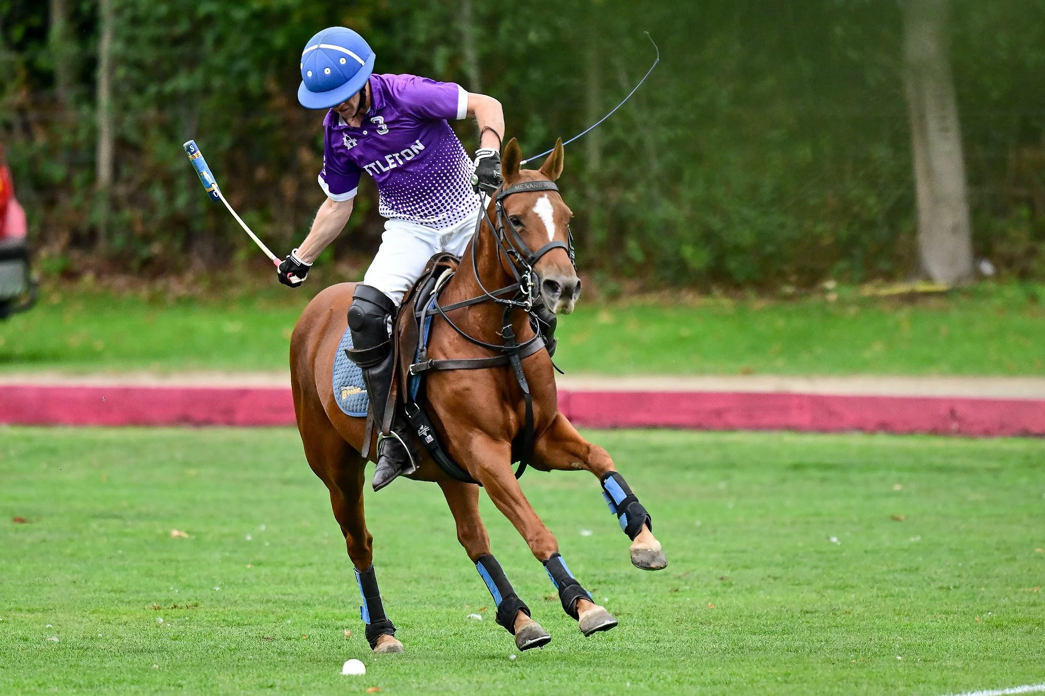 Images from Ham Polo Club, Ham Polo Club, London, UK - 17/05/2026