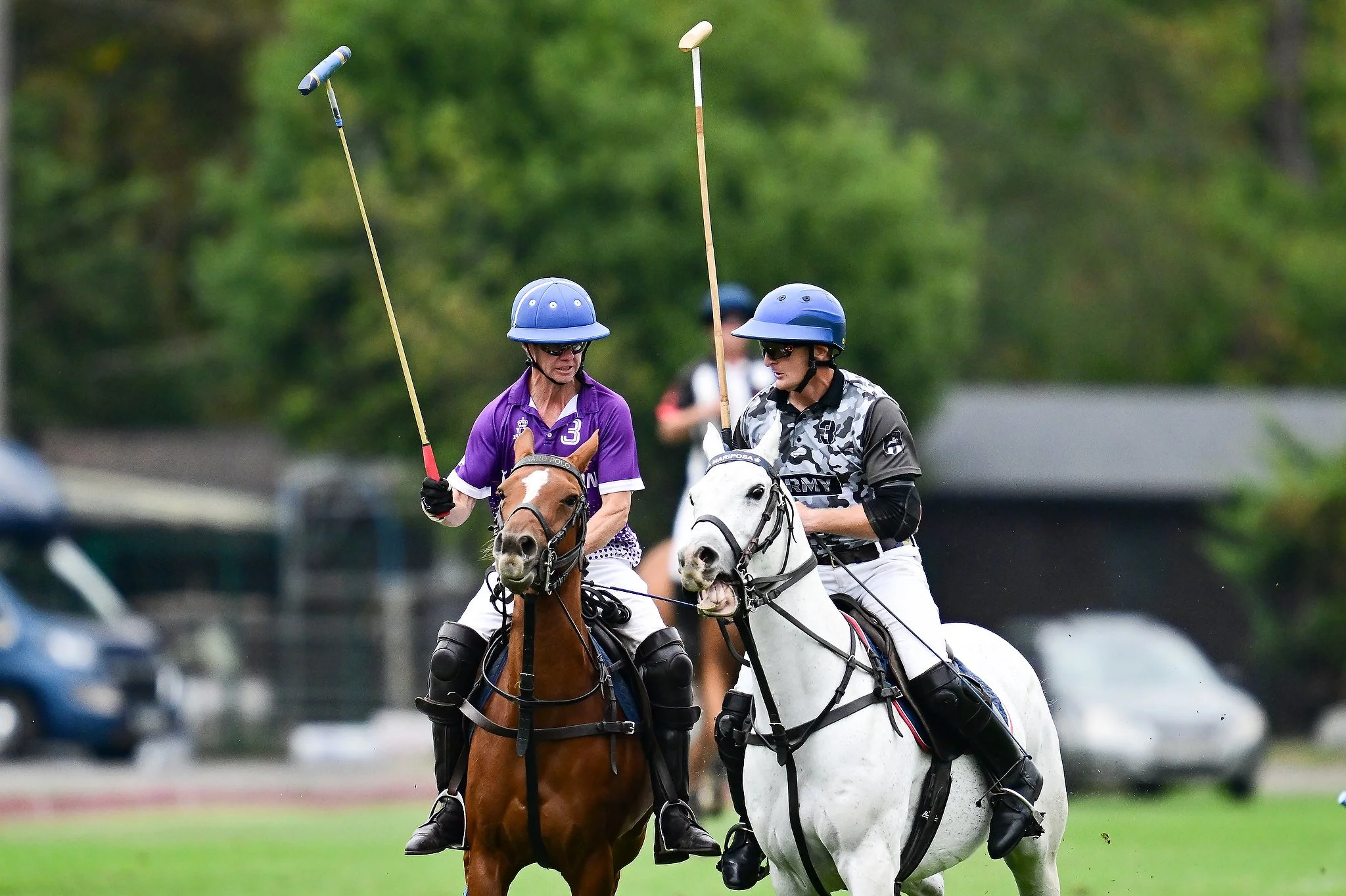 Images from Ham Polo Club, Ham Polo Club, London, UK - 17/05/2026