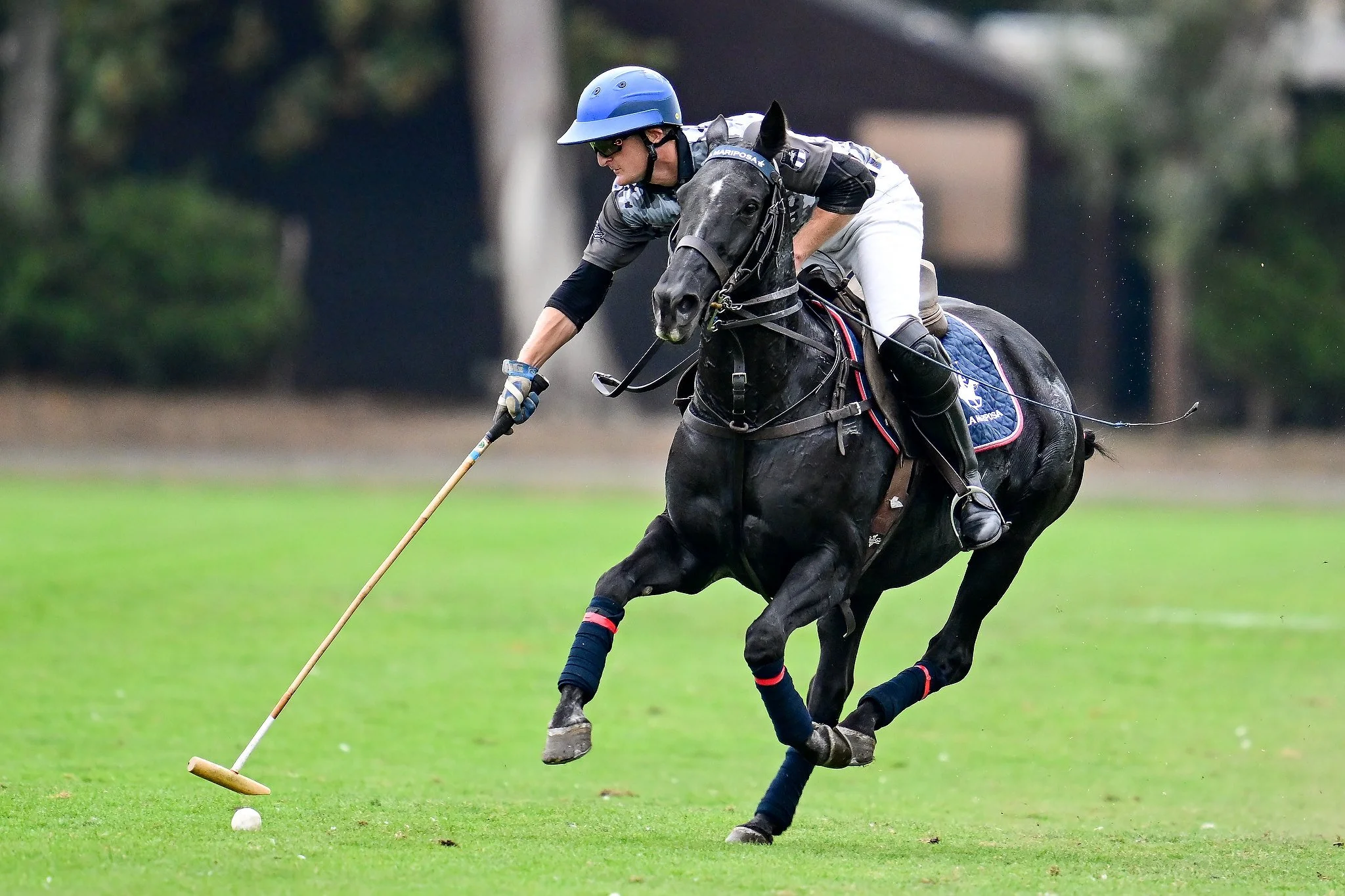Images from Ham Polo Club, Ham Polo Club, London, UK - 17/05/2026