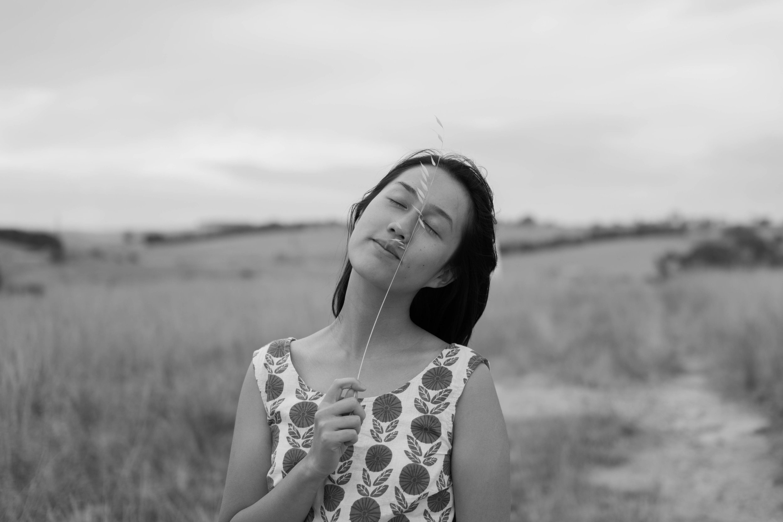 L1040766.jpg