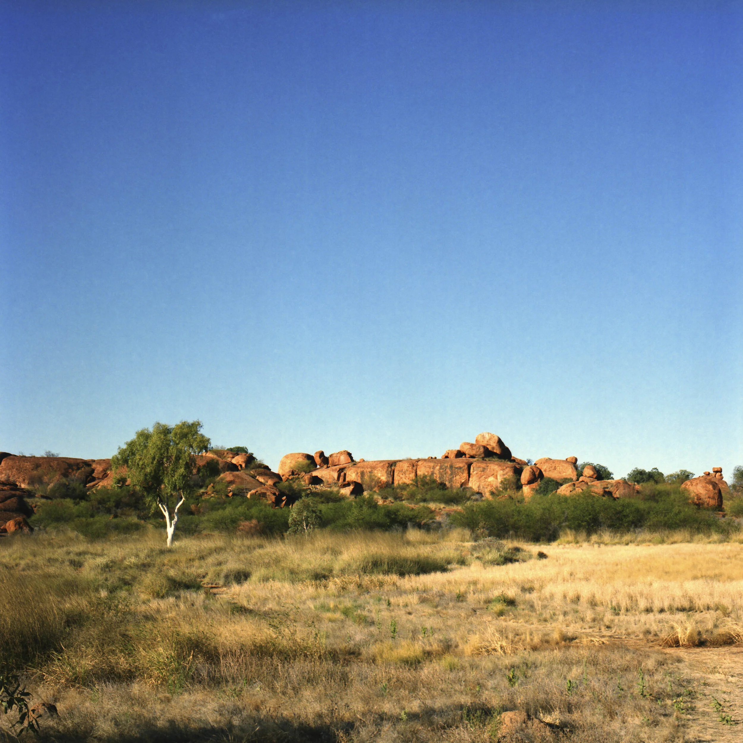 IMG_20200811_0007-2-2.jpg