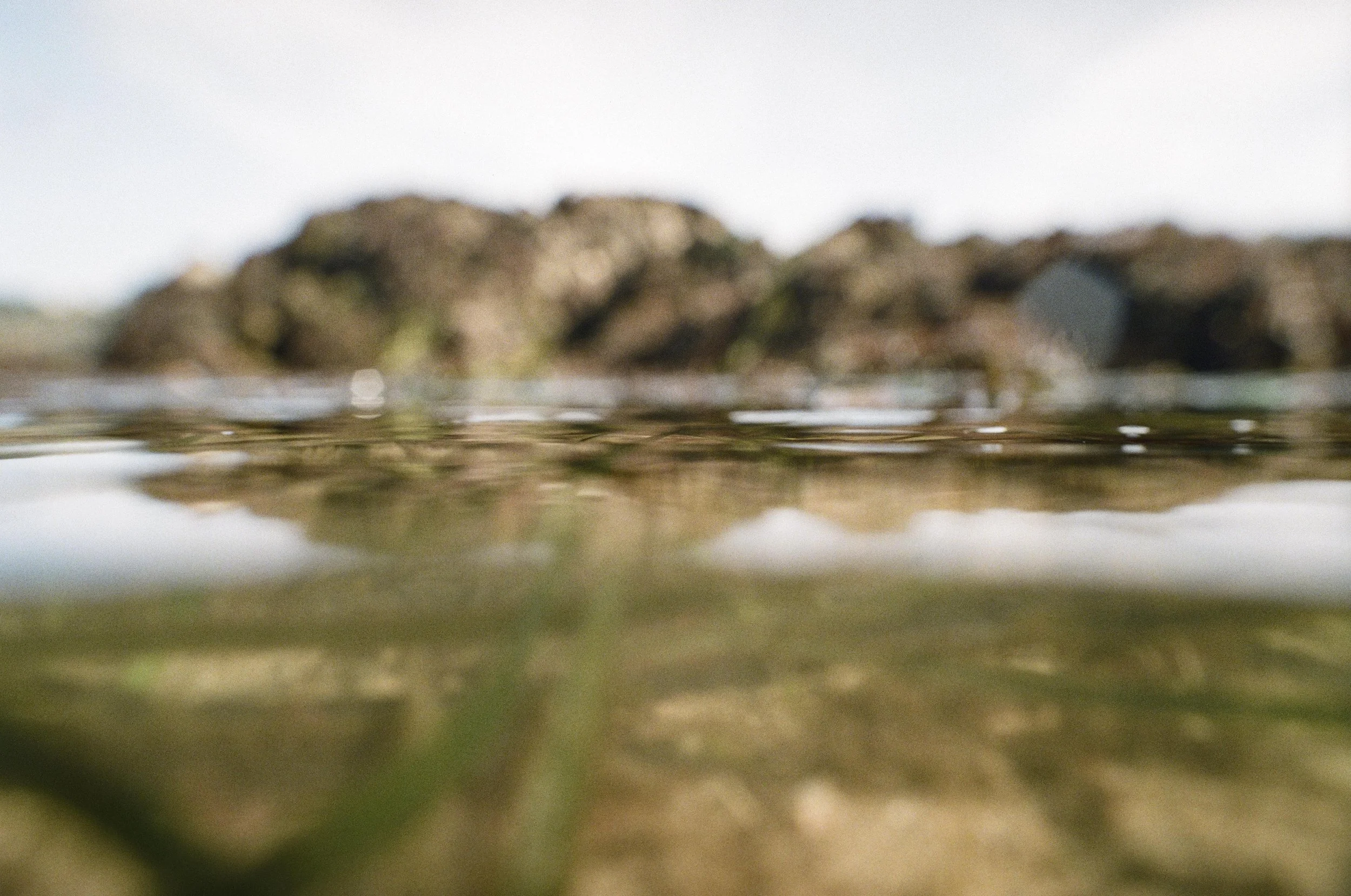 Untitled [8] The Seagrass Walk.jpg