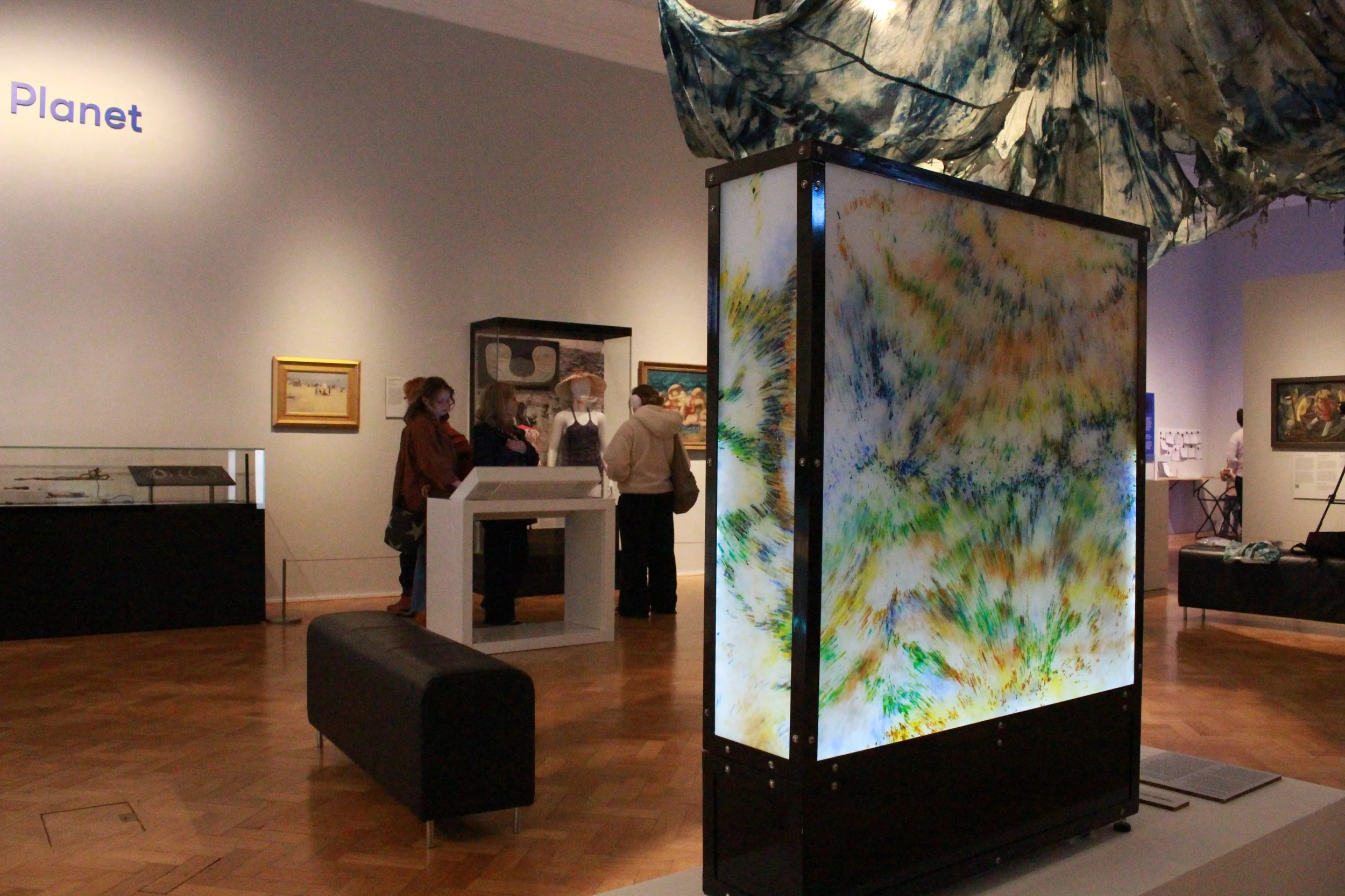 Seagrass Meadow on show at The Box