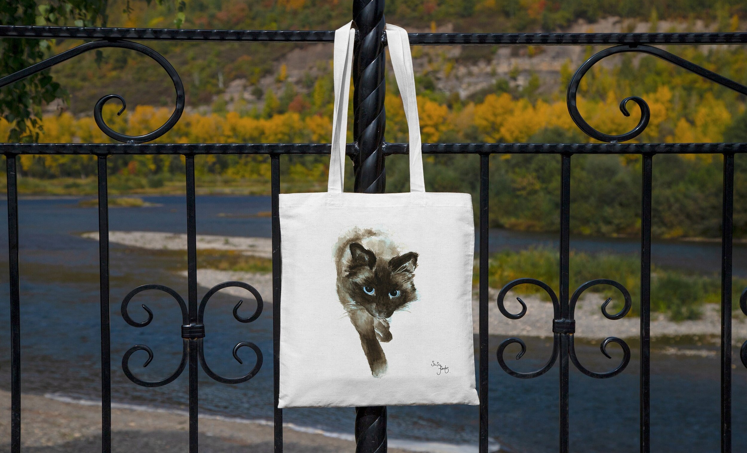 https://i.etsystatic.com/16067335/r/il/44b66a/4751641546/il_fullxfull.4751641546_ambr.jpg