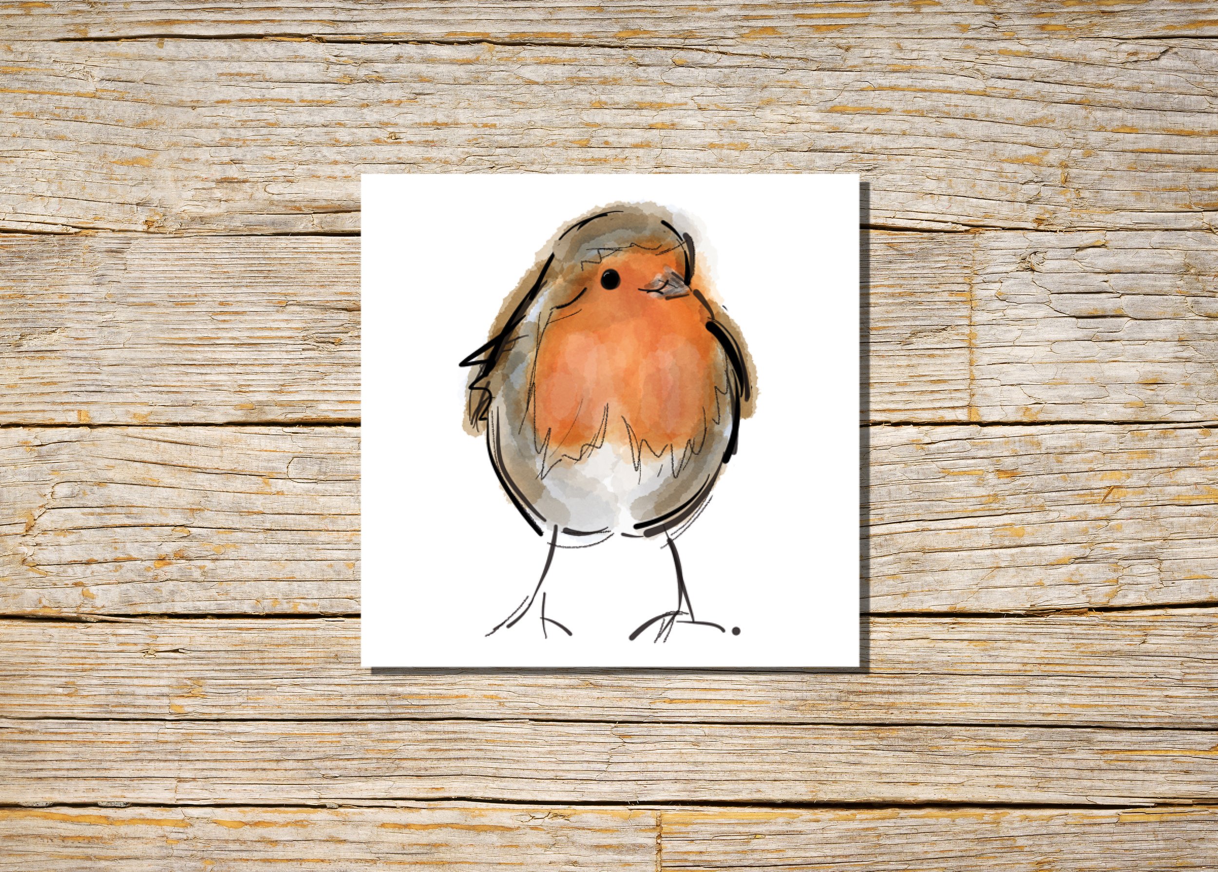 Product Image_Greeting Card_Robin_2025_lo-res-p4.jpg