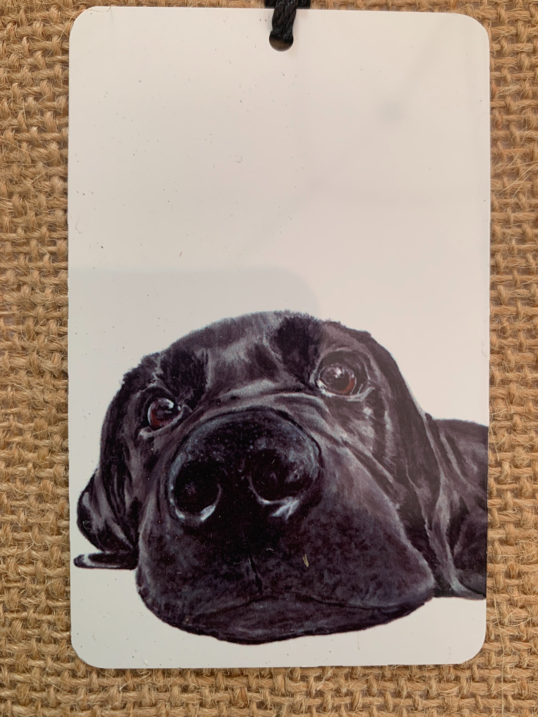 Bookmark - Awaiting Labdrador