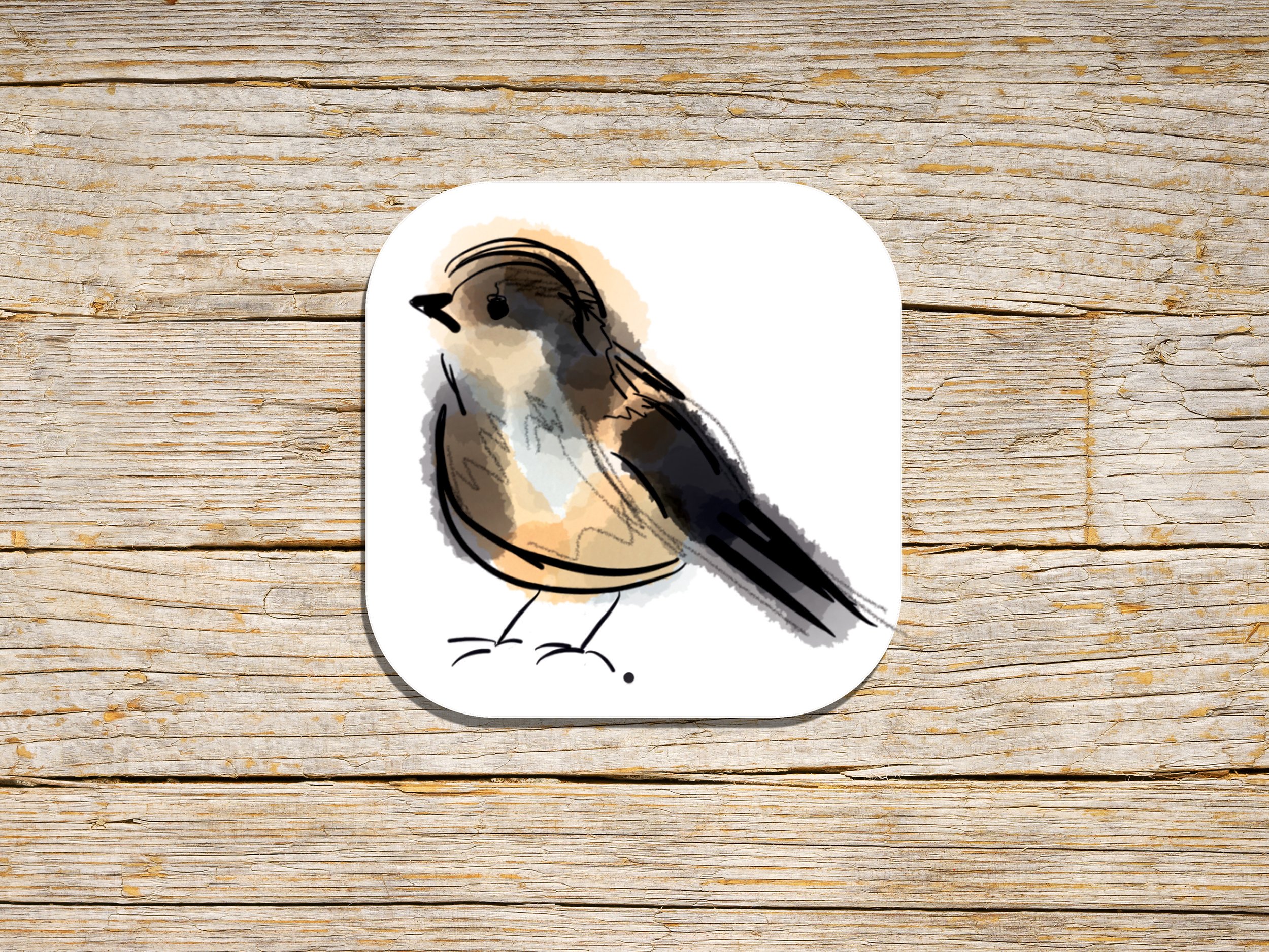 Productimage_Coaster_HouseSparrow_lo-res.jpg