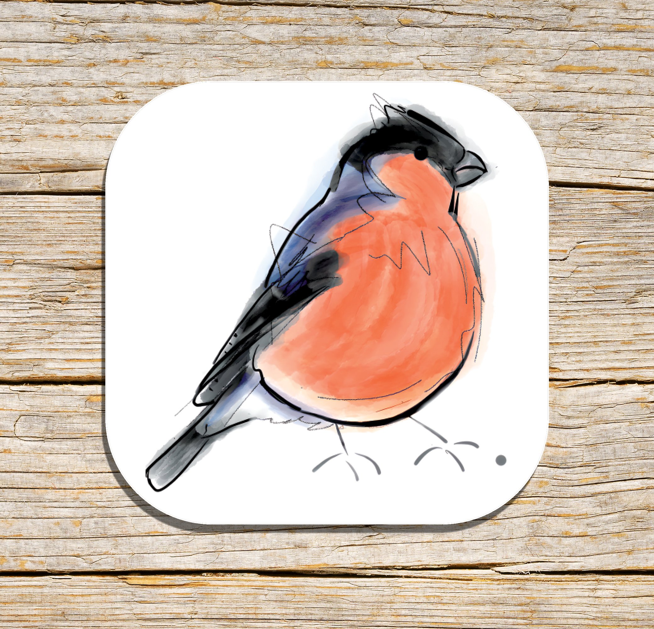 Bullfinch Bird Coaster