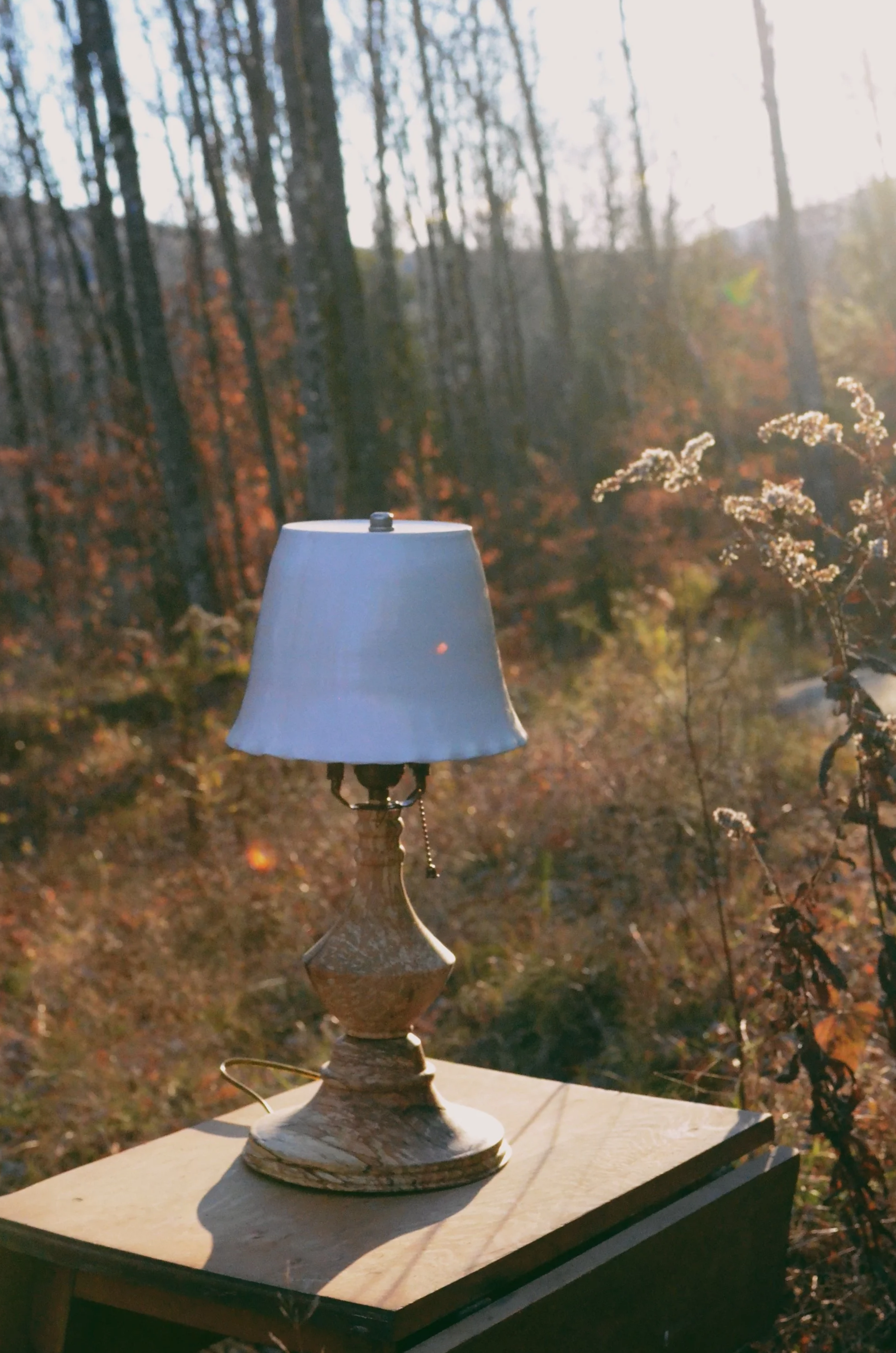 DSC_4435_VSCO.png