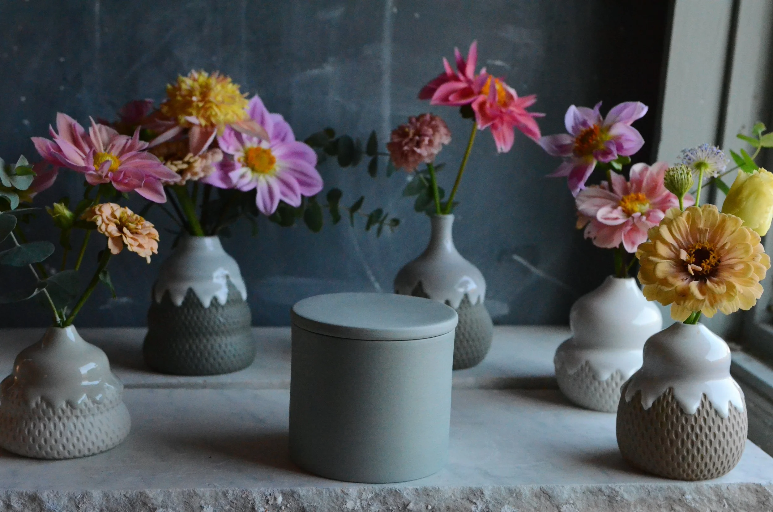 Smooth Lichen Butter Keeper