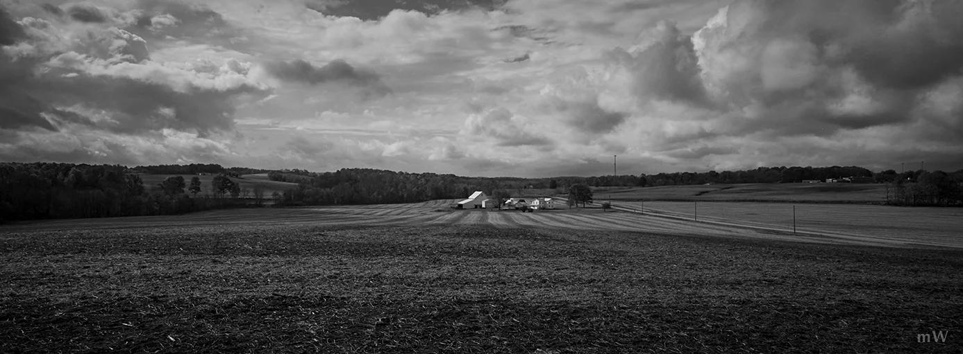 Buckeye Creamery B&W-01 size.jpg