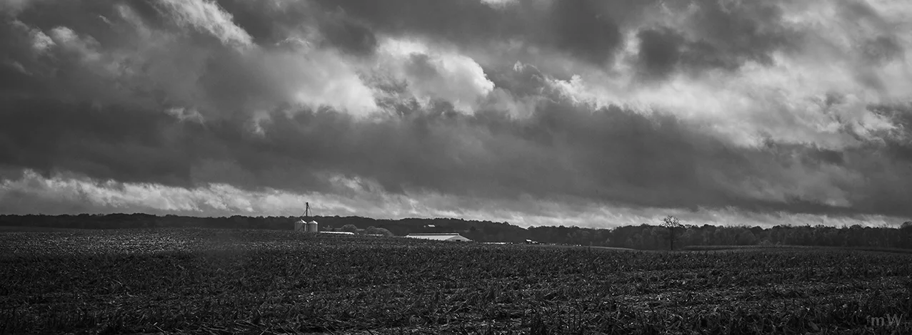 Buckeye Creamery B&W-03size.jpg