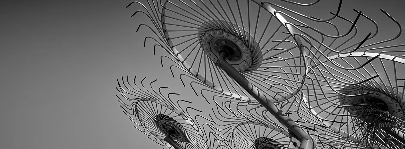 Buckeye Creamery B&W-08size.jpg