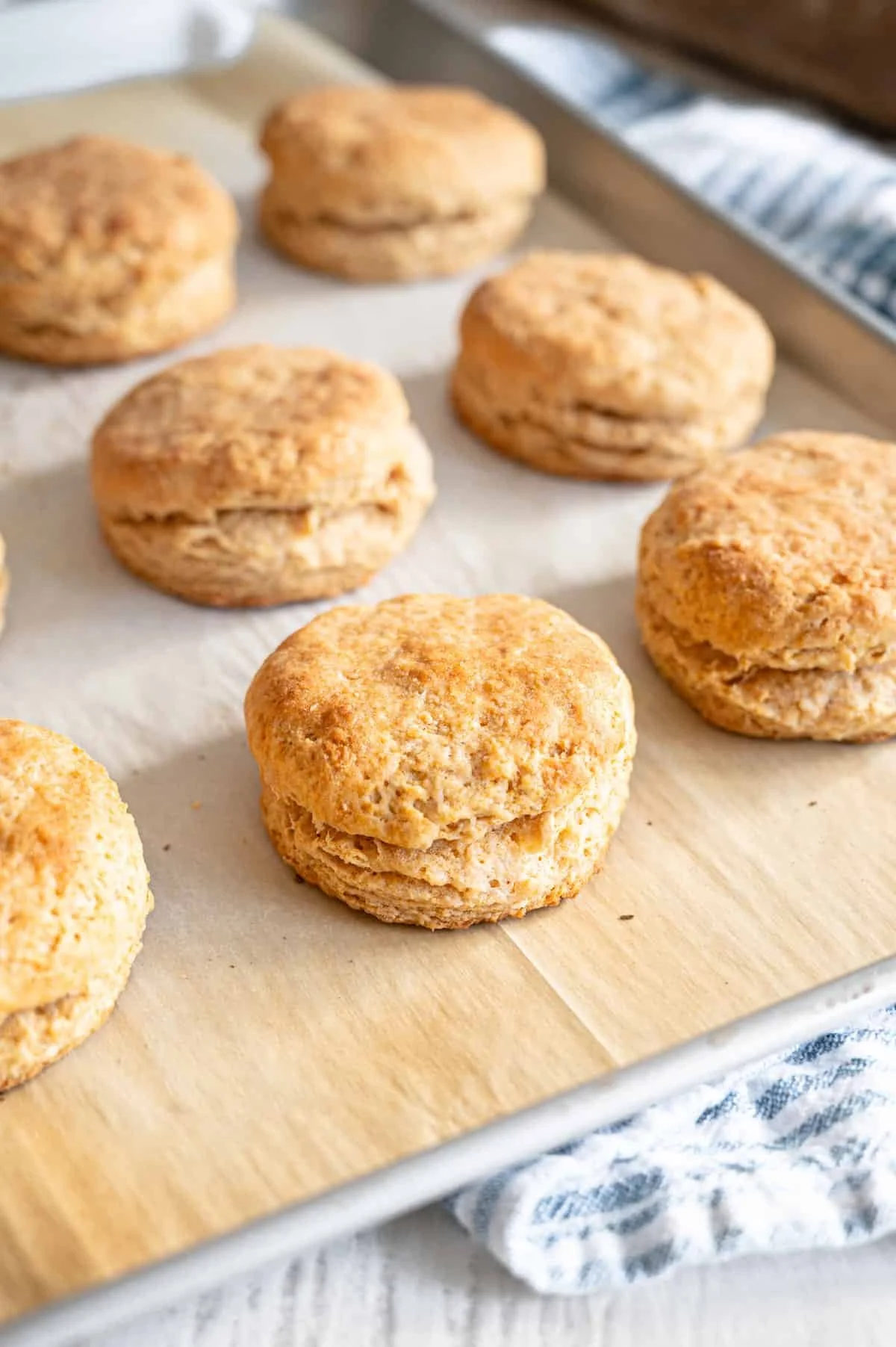 Flaky White Whole Wheat Buttermilk Biscuits (Double Batch)