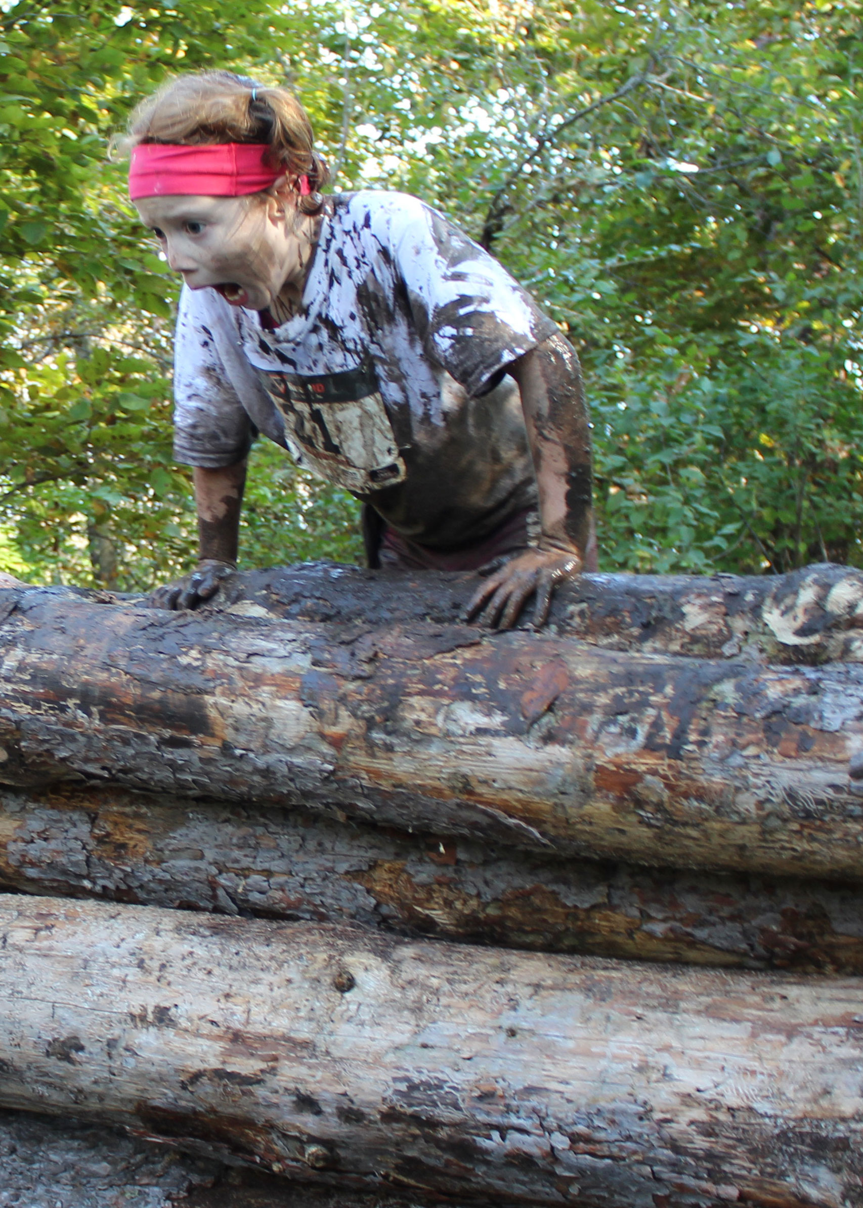 log-obstacle3.jpg