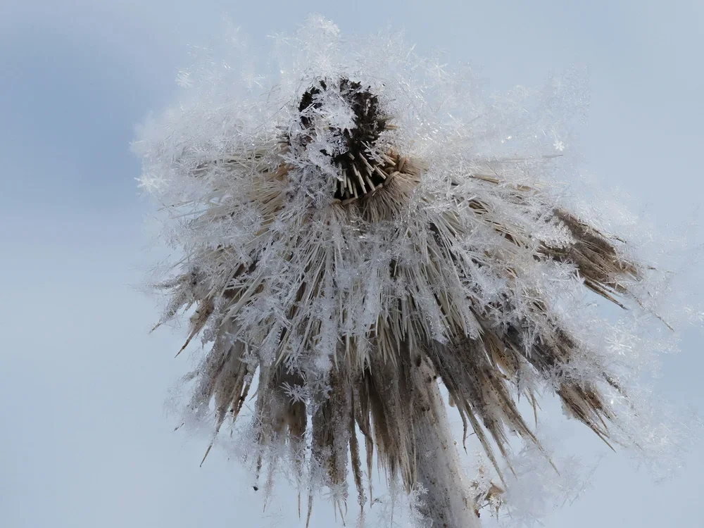 Frühjahrstagung von BV-PP und IGPP  