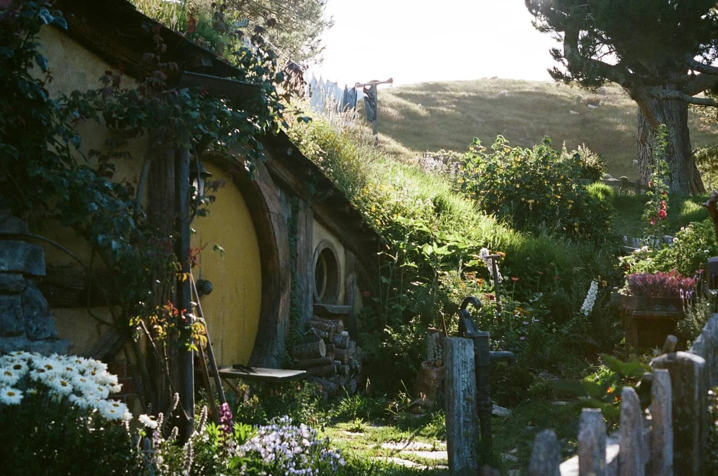 Cold Moon Chill 🌨️ 12
寒冷月亮的放鬆&middot;12
Pentax SuperProgram Portra 400