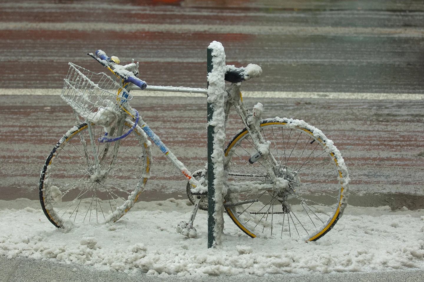 Bicycle 10