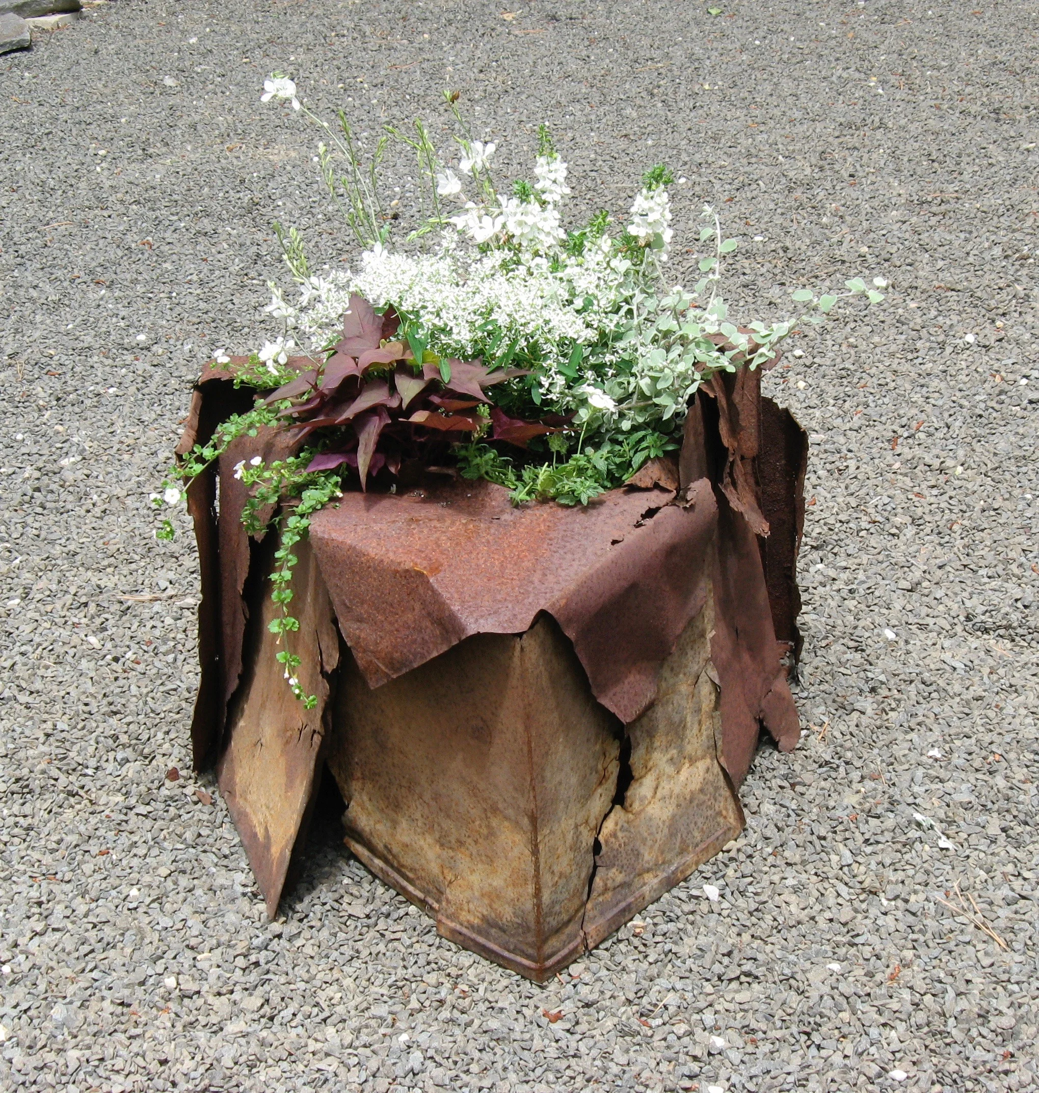Reclamation 6.19.2010 "Planters On/Off the Ground" an exhibit at Jack Lenor Larsen's LongHouse Reserve in East Hampton, NY . Metal shelving found on the side of the road and used as the surround for delicate plantings. This was taken opening day.