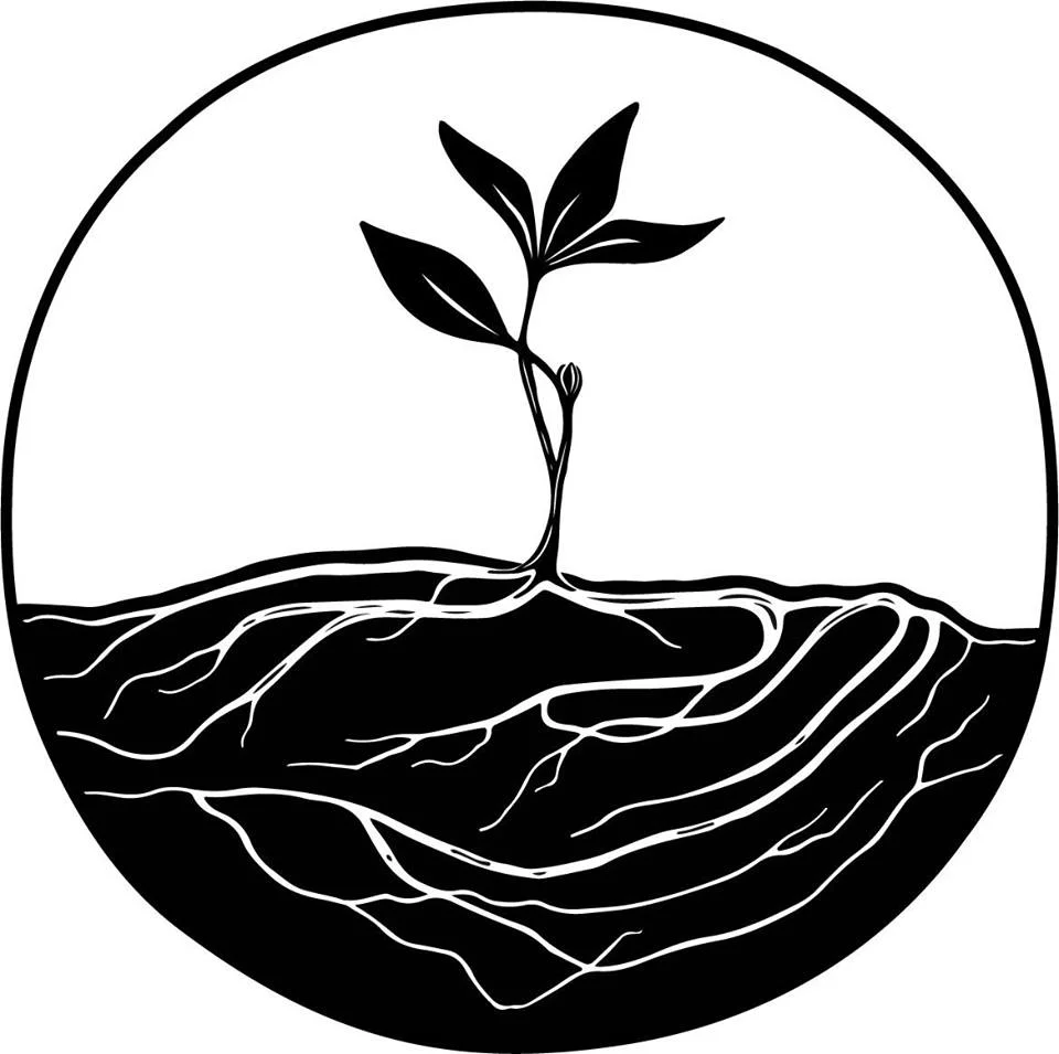 Root to Rise.jpg