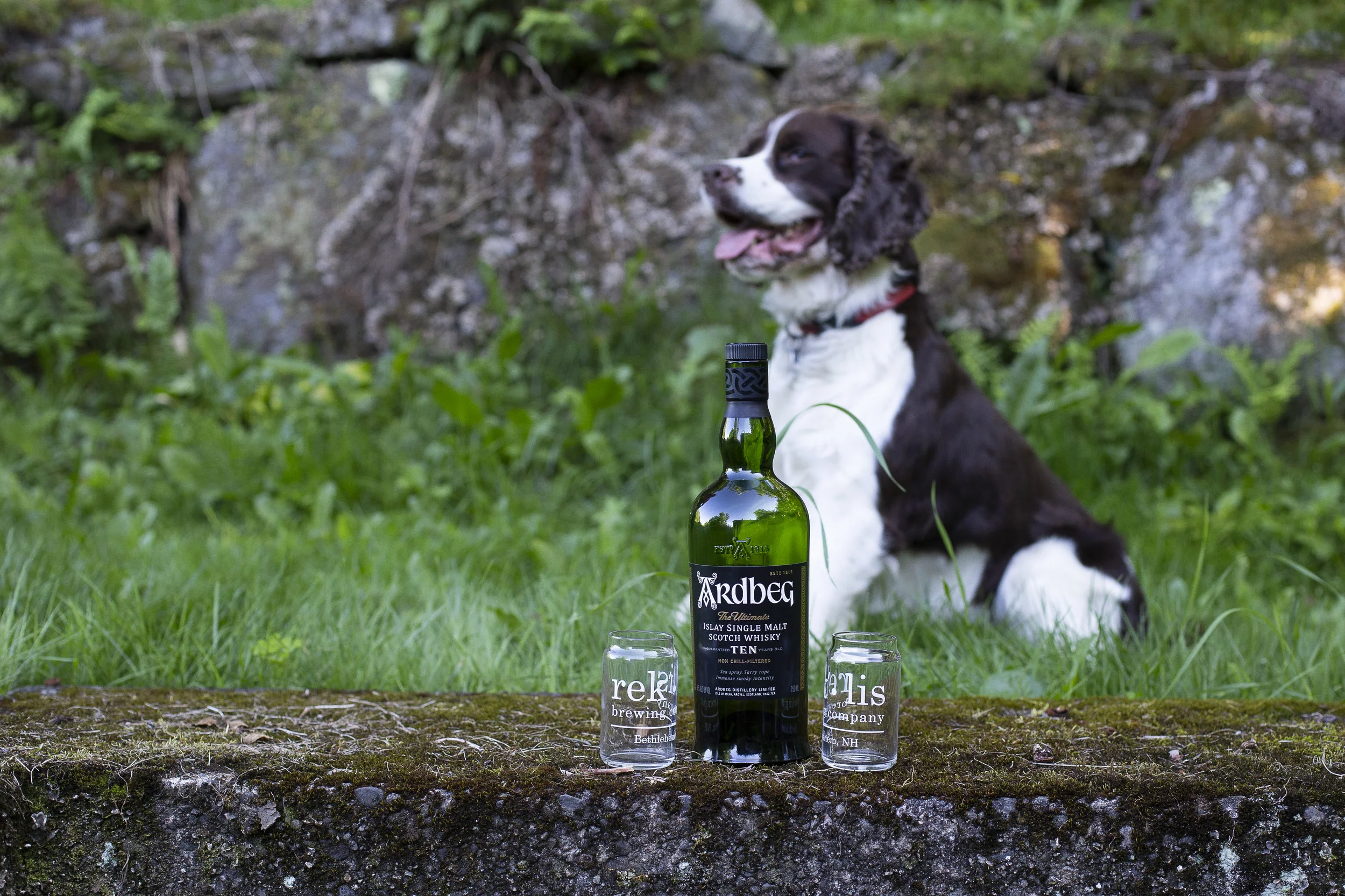 Rek'-lis on Scotch_2.jpg