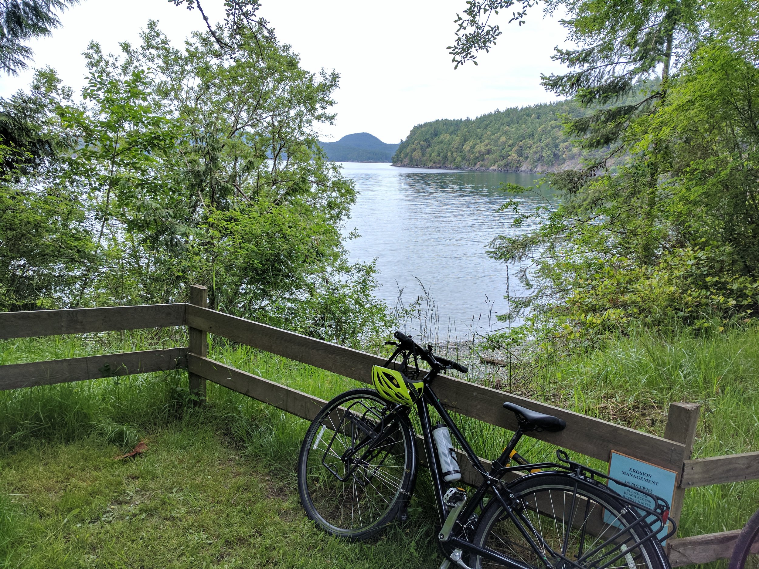 geebettybikes