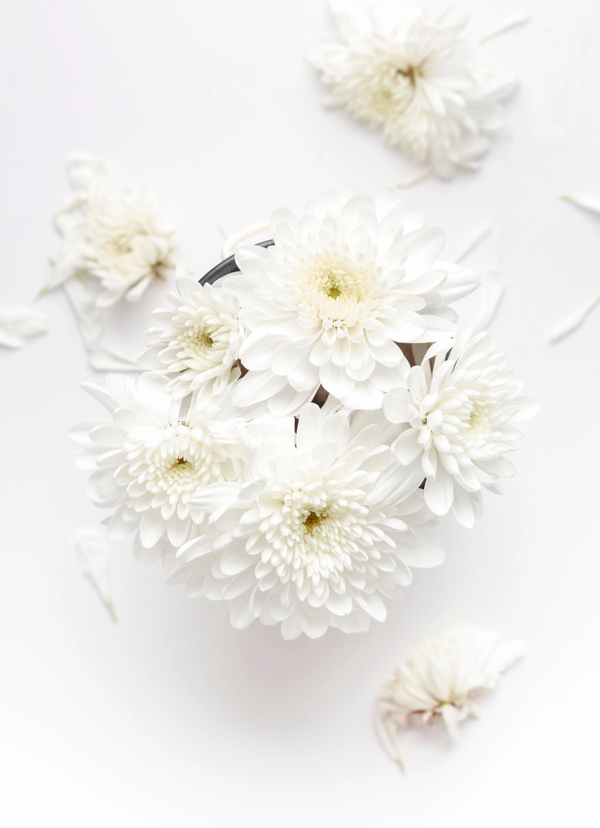 Dahlia