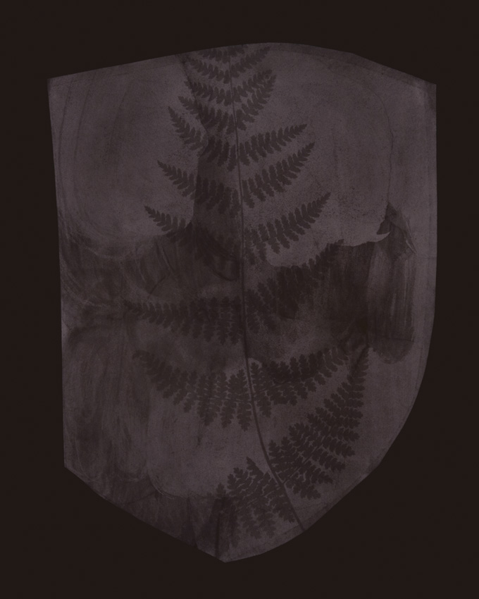 Buckler Fern, March 6, 1839 or Earlier, 2008 