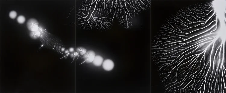 Lightning Fields Composed 004, 2008