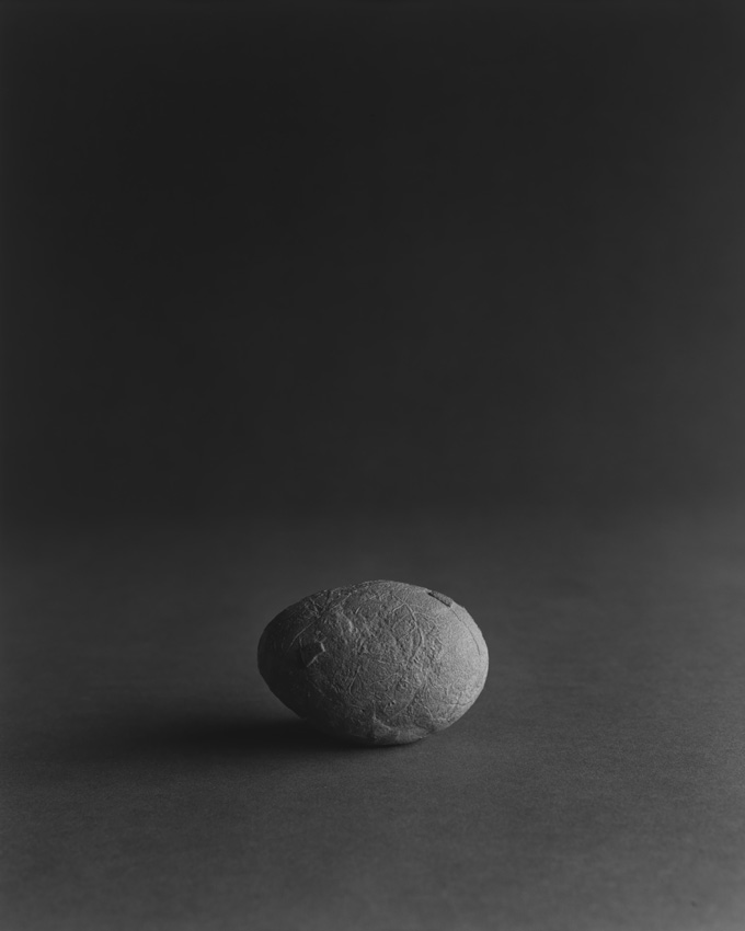 PPTRD 020, 2008