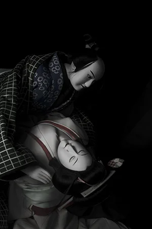 Sugimoto Bunraku: 2011