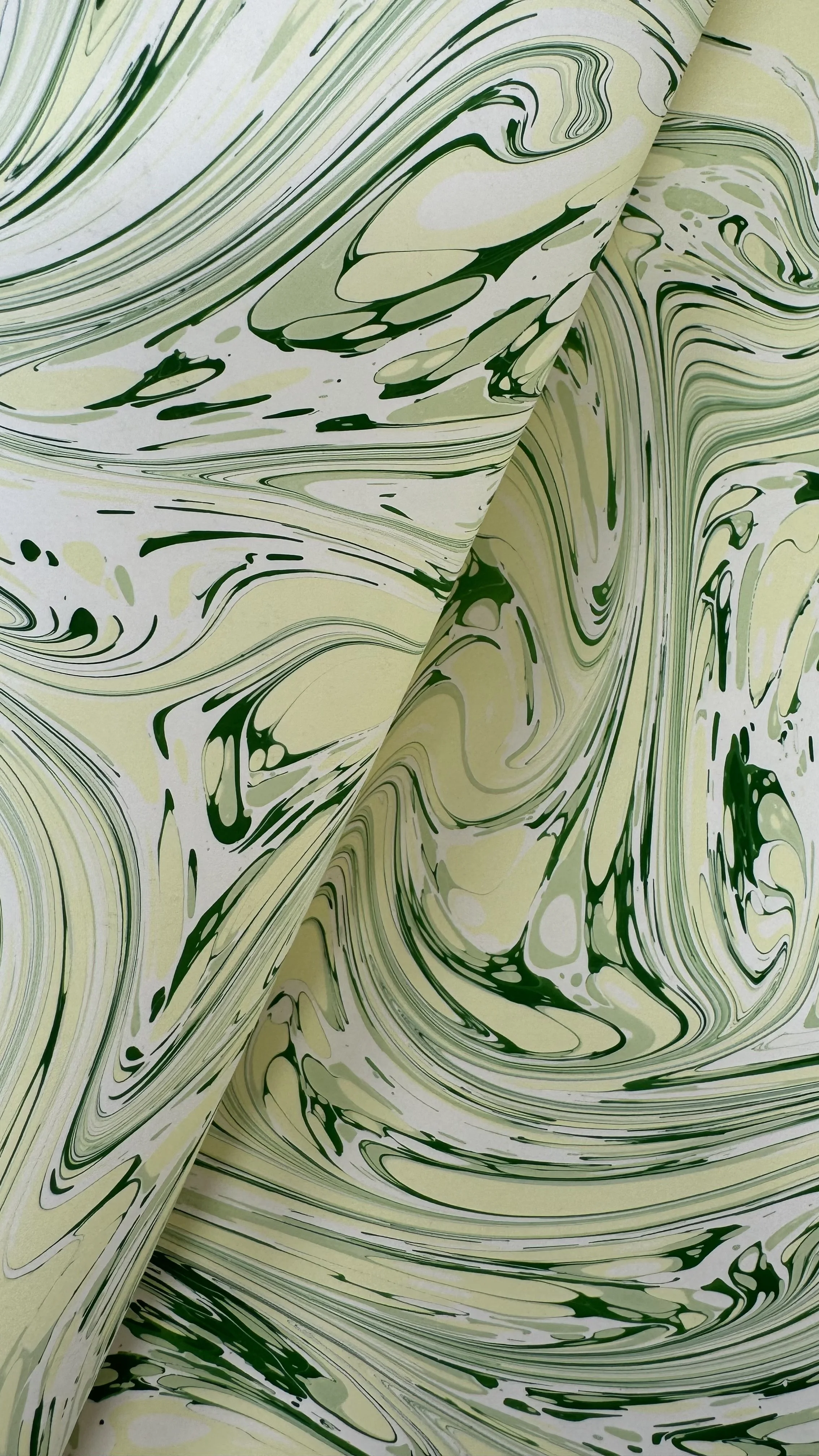 IMG_2941.jpeg
