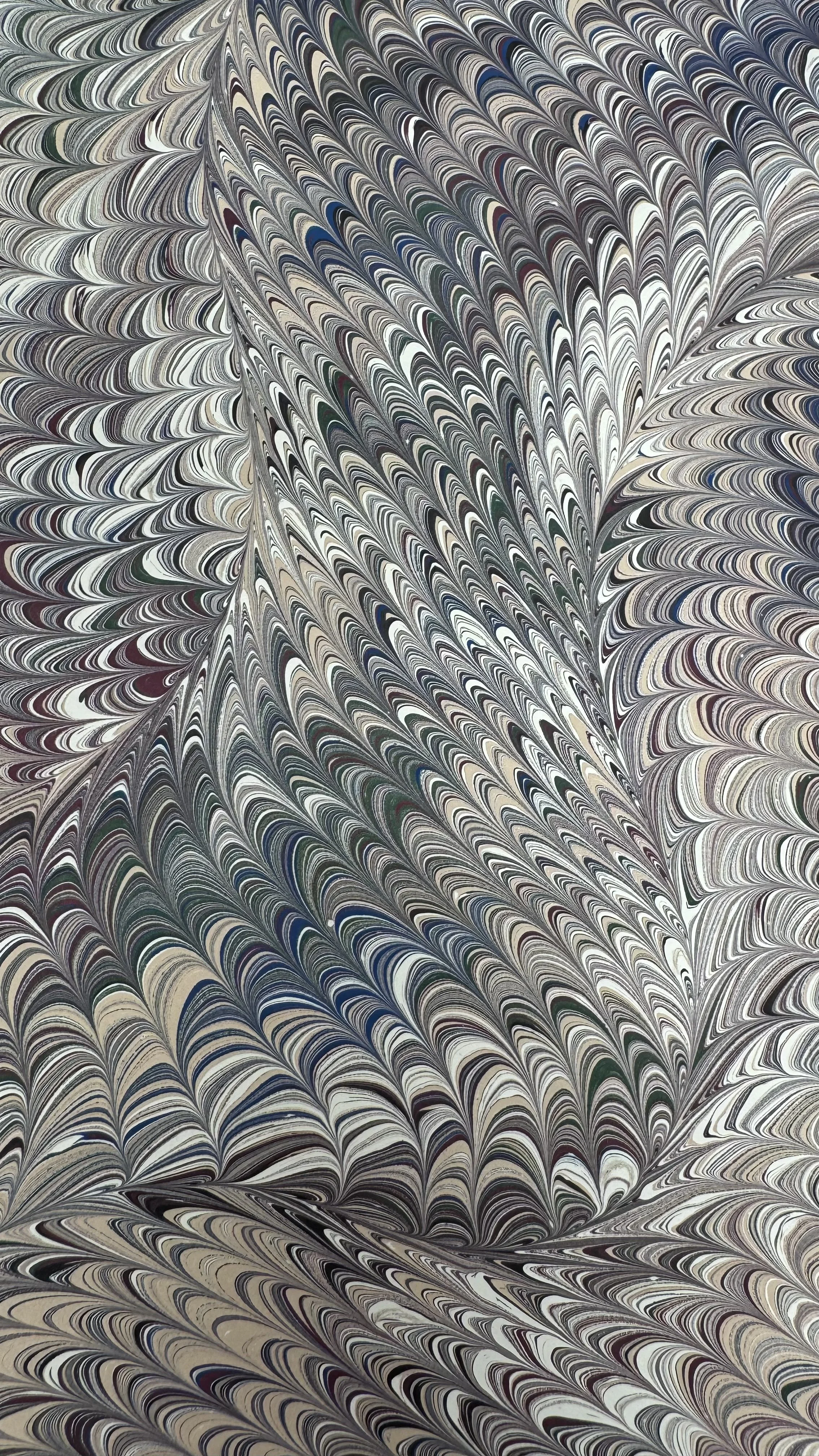IMG_2974.jpeg