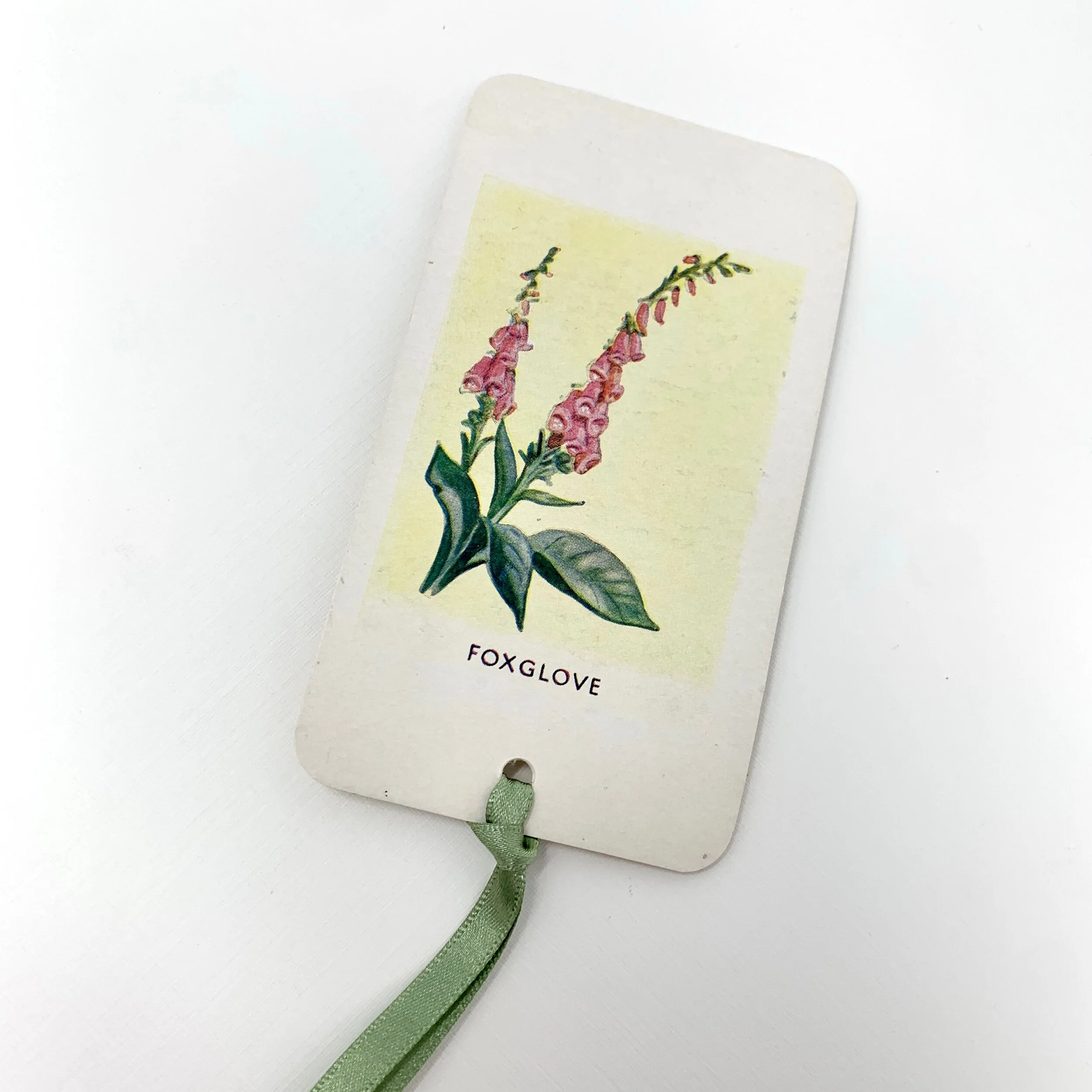 6A535D82-BB65-4DFF-BEB5-496171AF9945