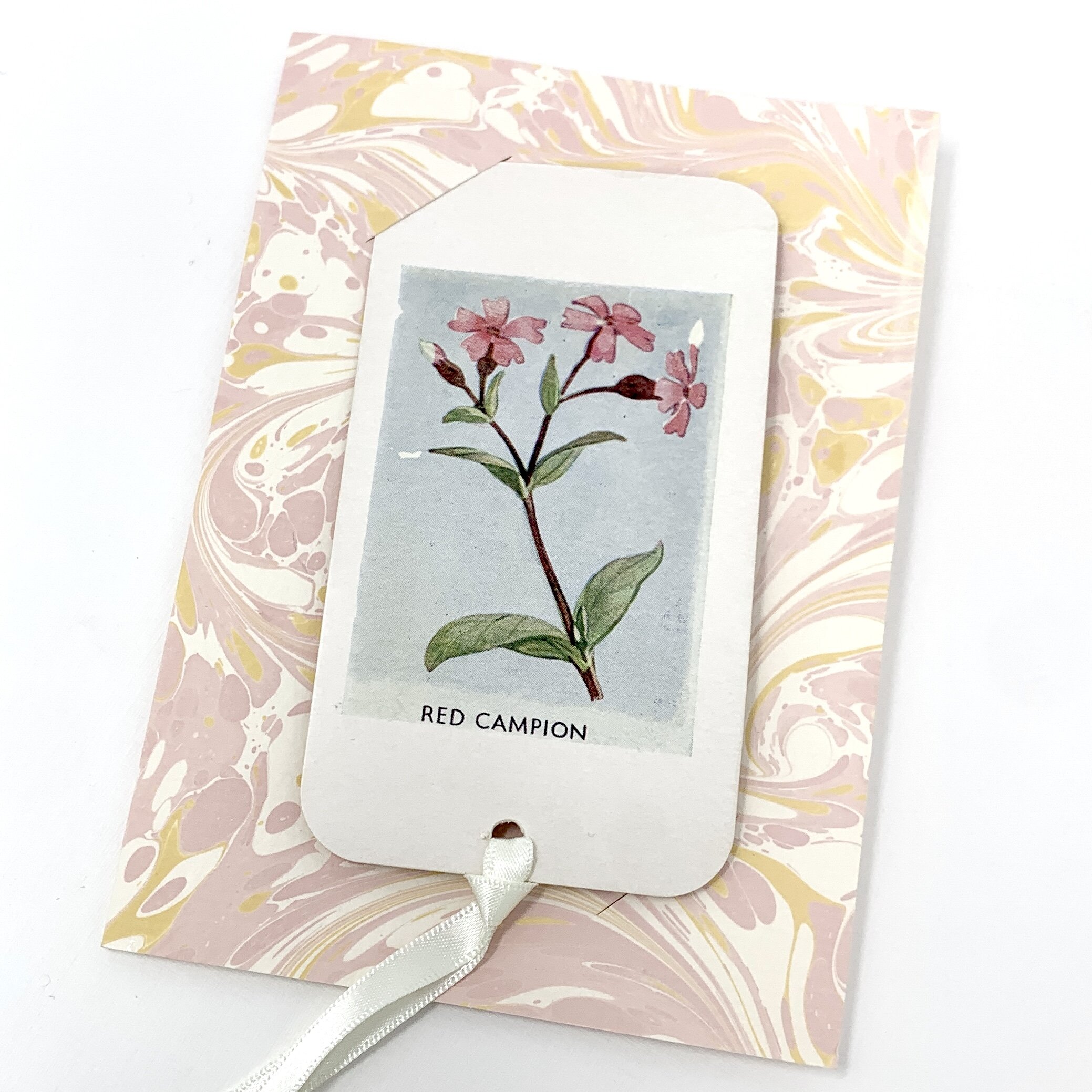 83E35C4F-BA39-4F9E-81DA-2B9B88917582