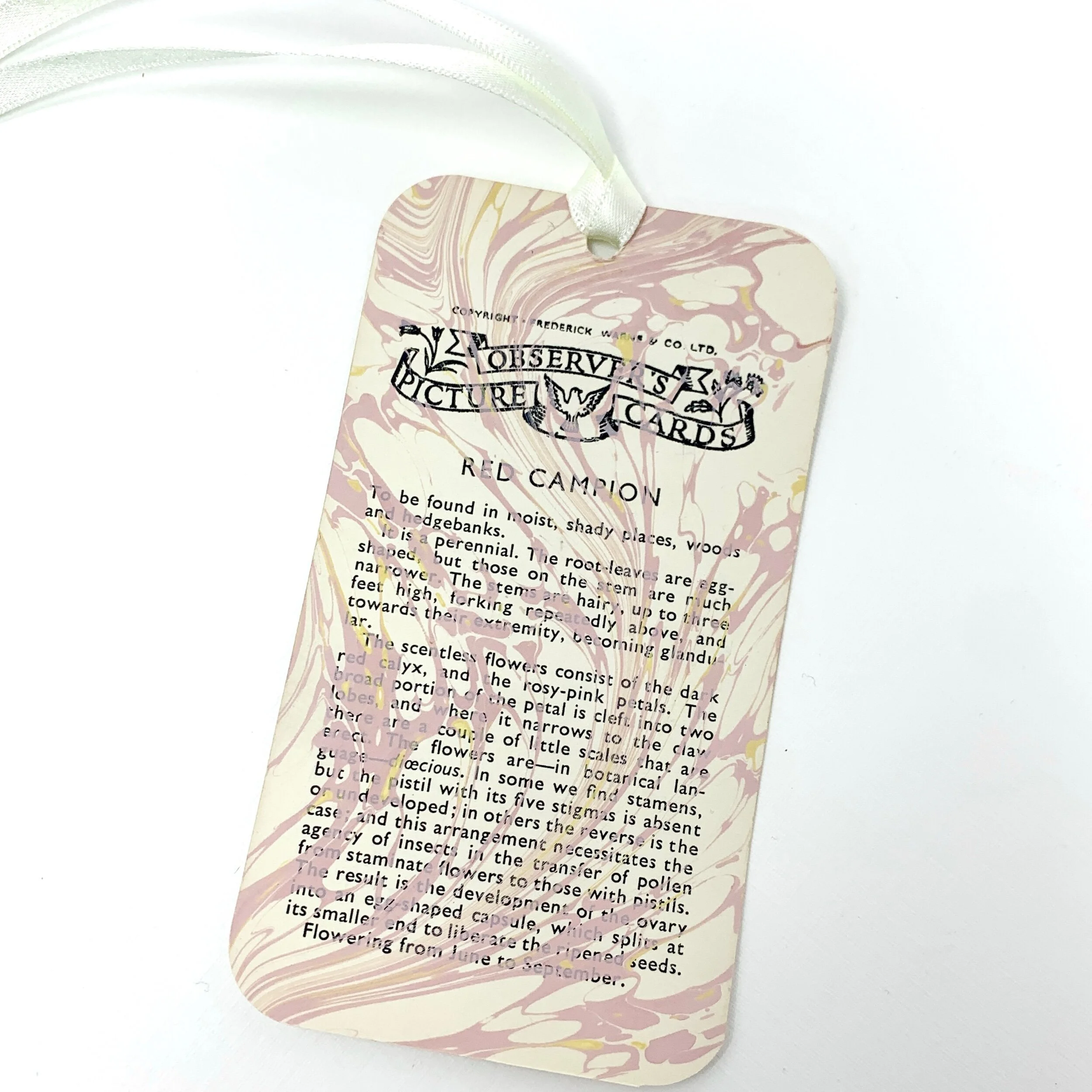 8DCB682C-F8D5-476C-8731-AF0EBB4234C9