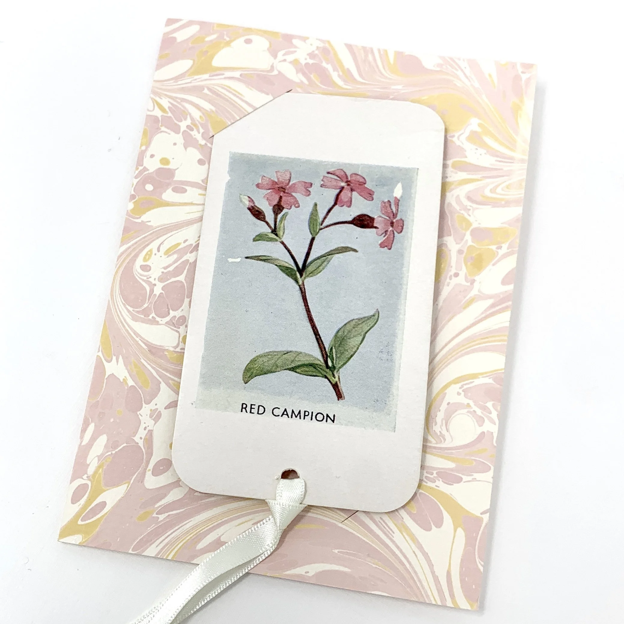 Marbled Greetings Card & Bookmark  - Red Campion
