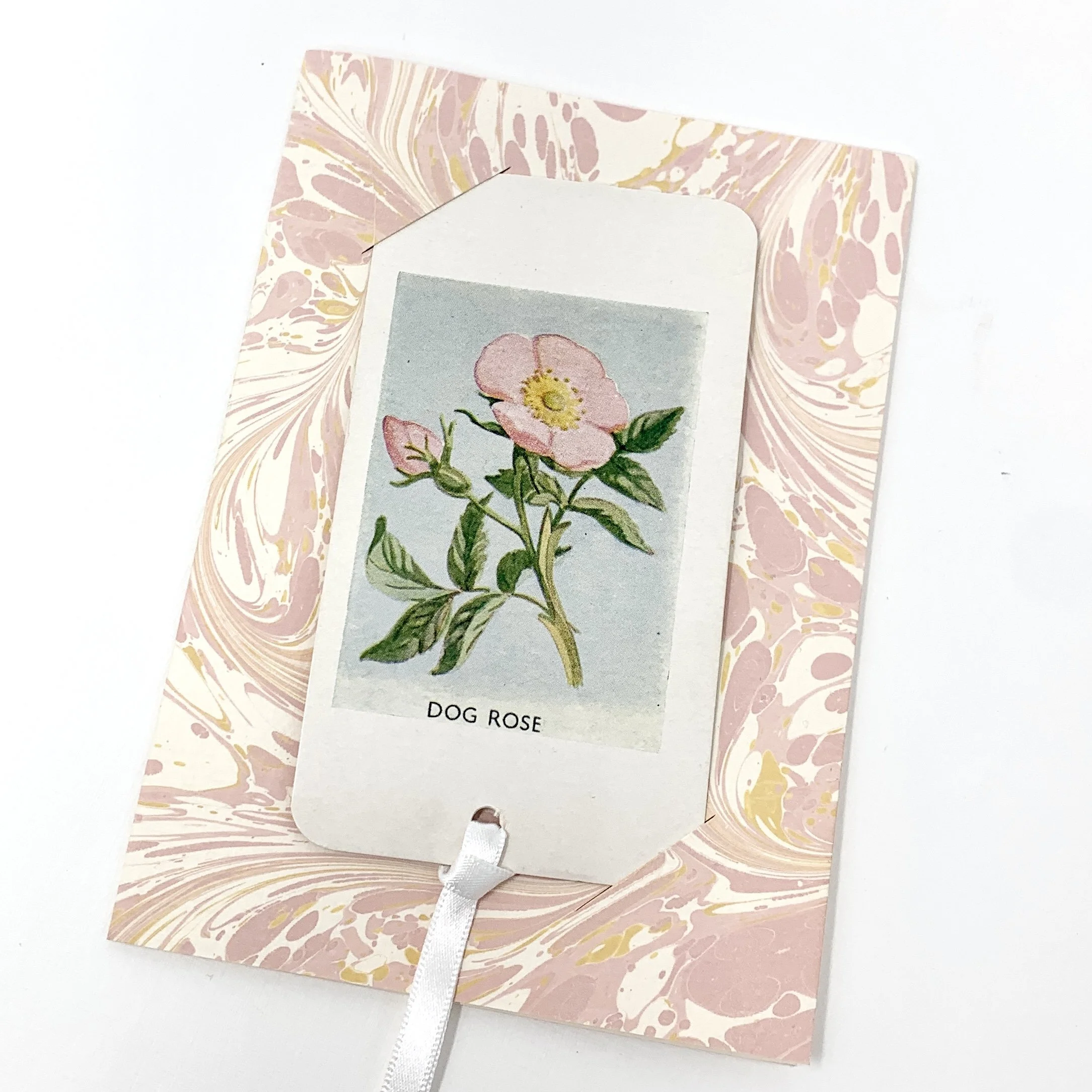 Marbled Greetings Card & Bookmark - DOGROSE